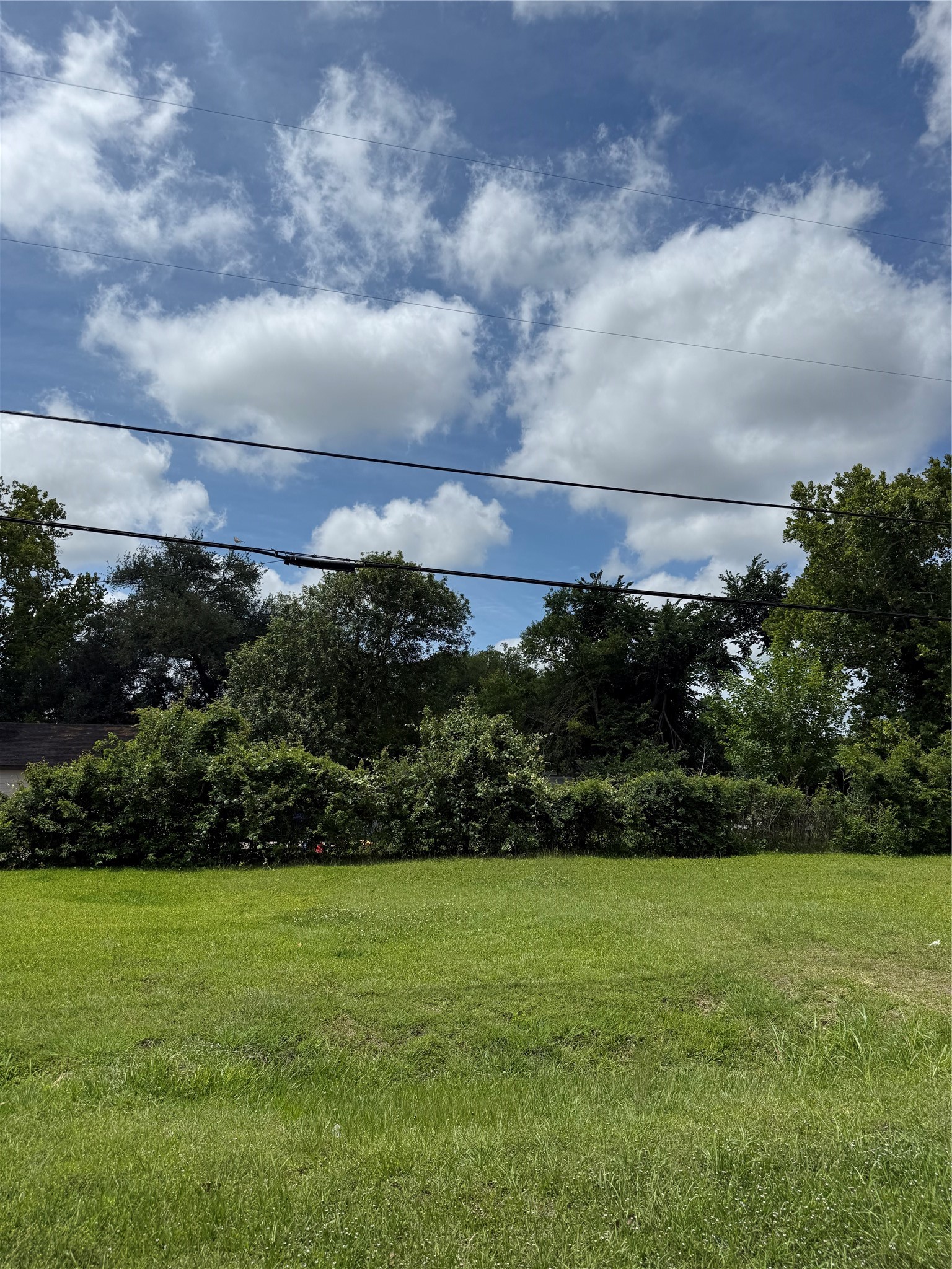 0 Rosalee St Property Photo 3