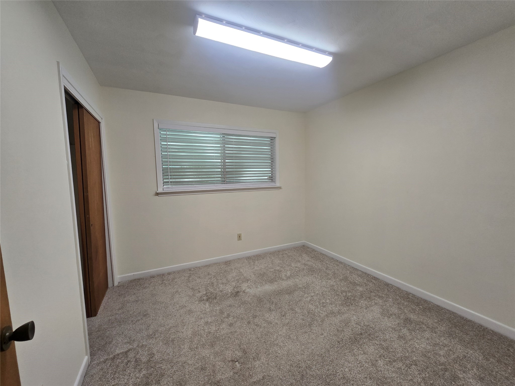 308 Mackeral Street Property Photo 19