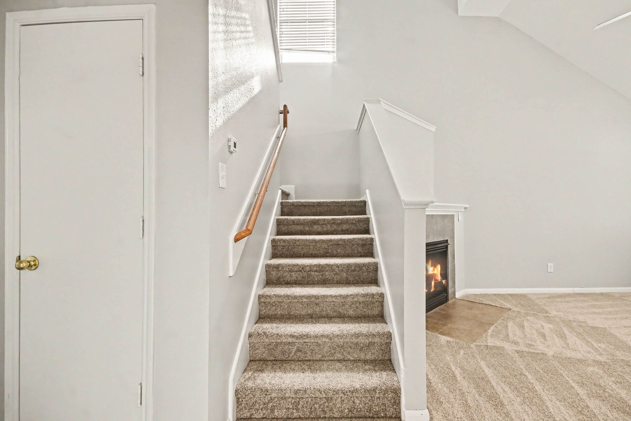 1502 Chandler Park Lane Property Photo 5