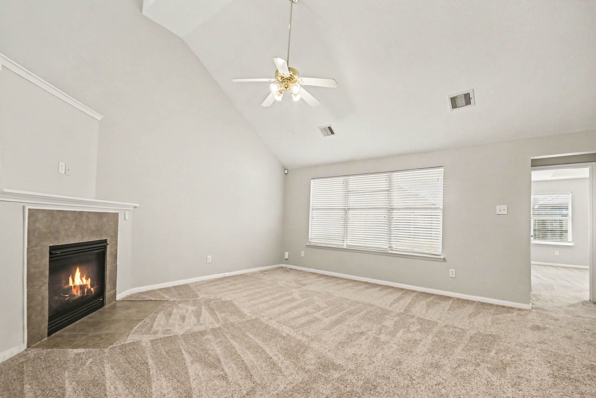 1502 Chandler Park Lane Property Photo 6