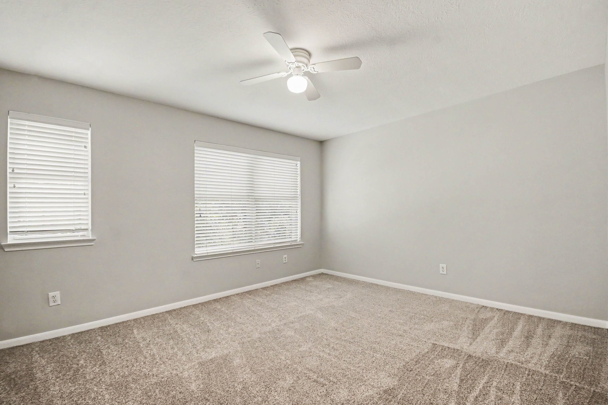 1502 Chandler Park Lane Property Photo 12
