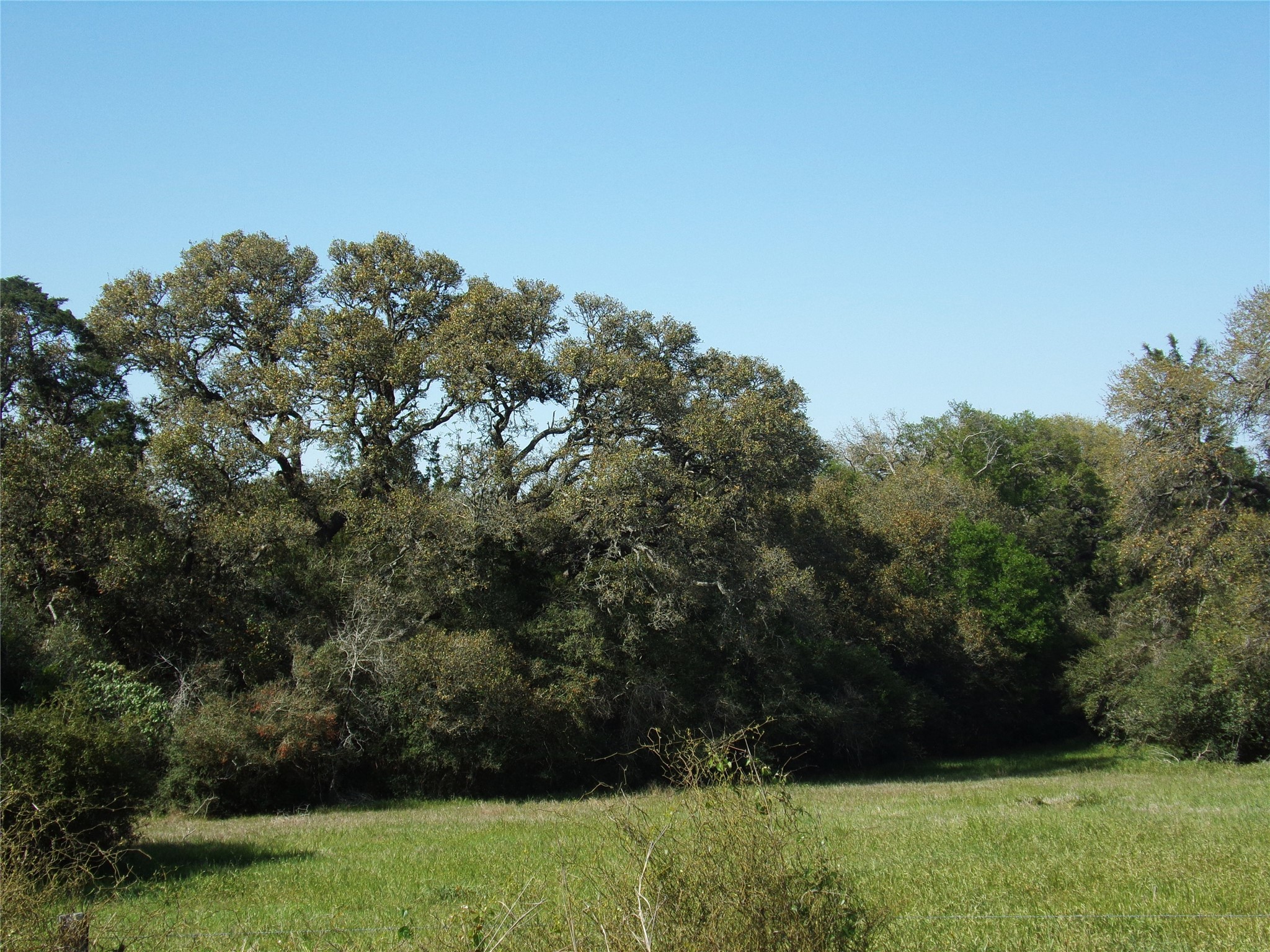 1928 S Fm 155 Property Photo