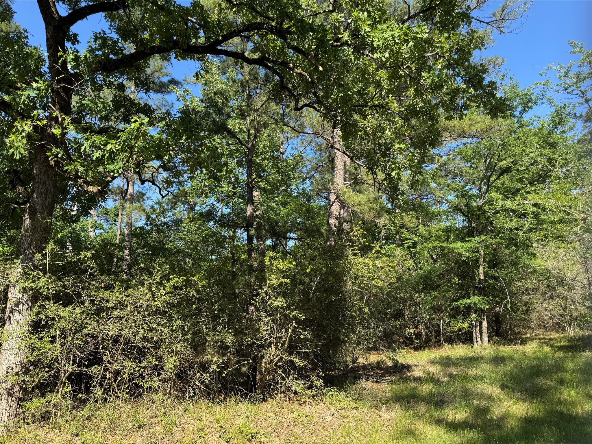 15 Wood Harbor Property Photo 3