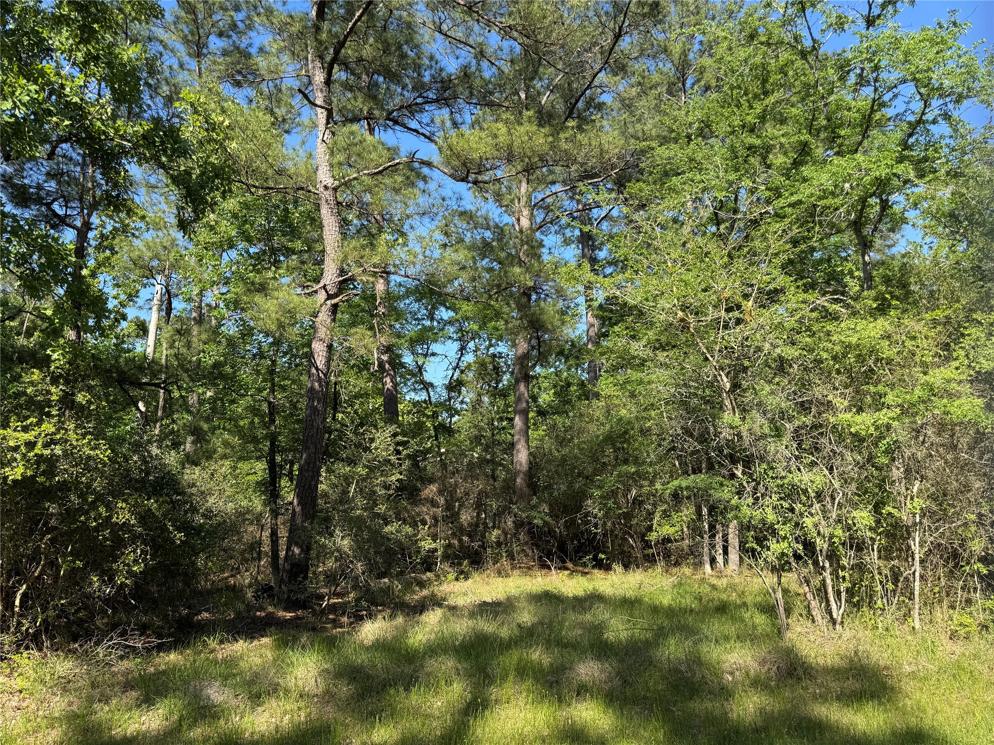15 Wood Harbor Property Photo 4