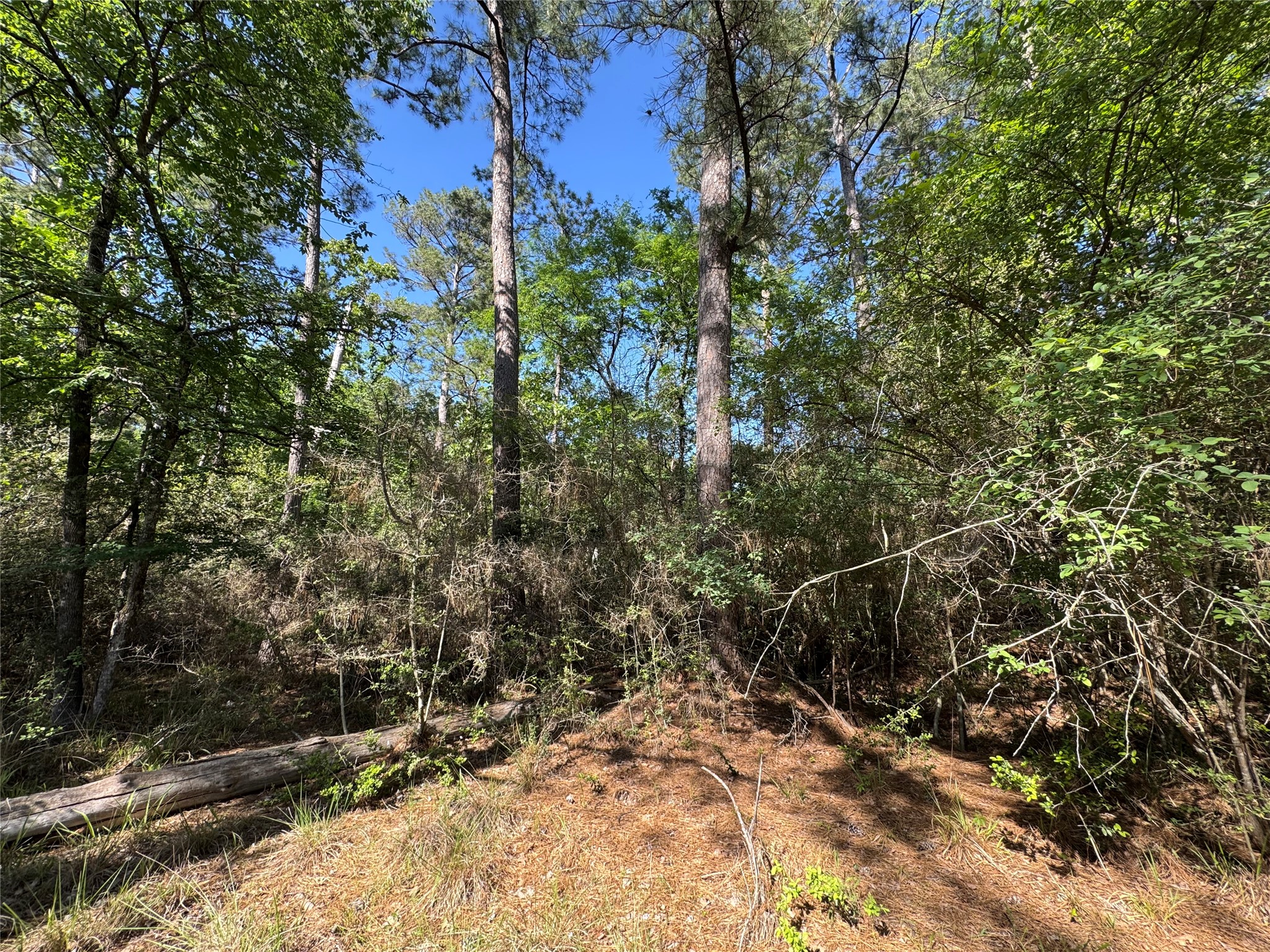 15 Wood Harbor Property Photo 5