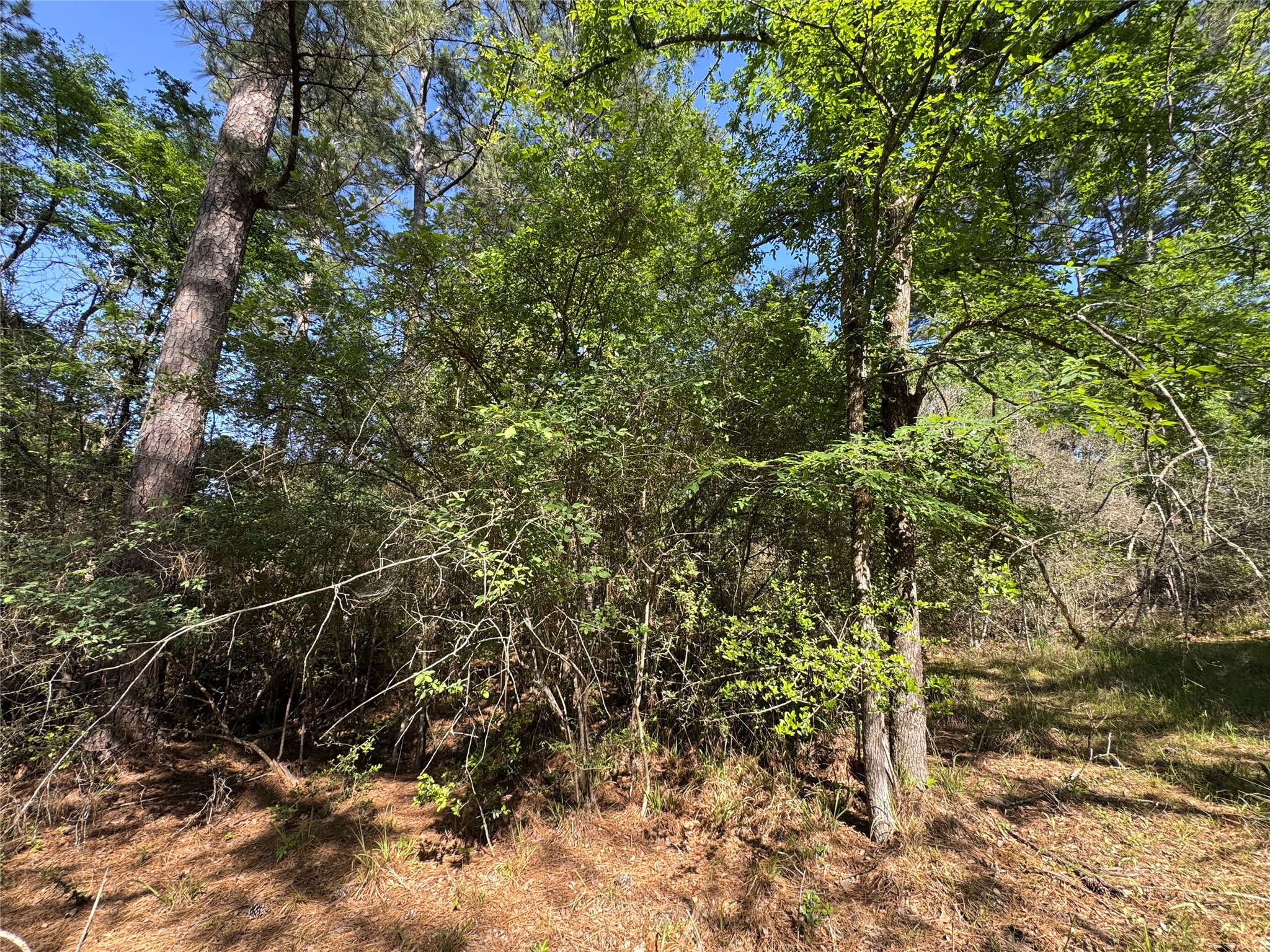 15 Wood Harbor Property Photo 6