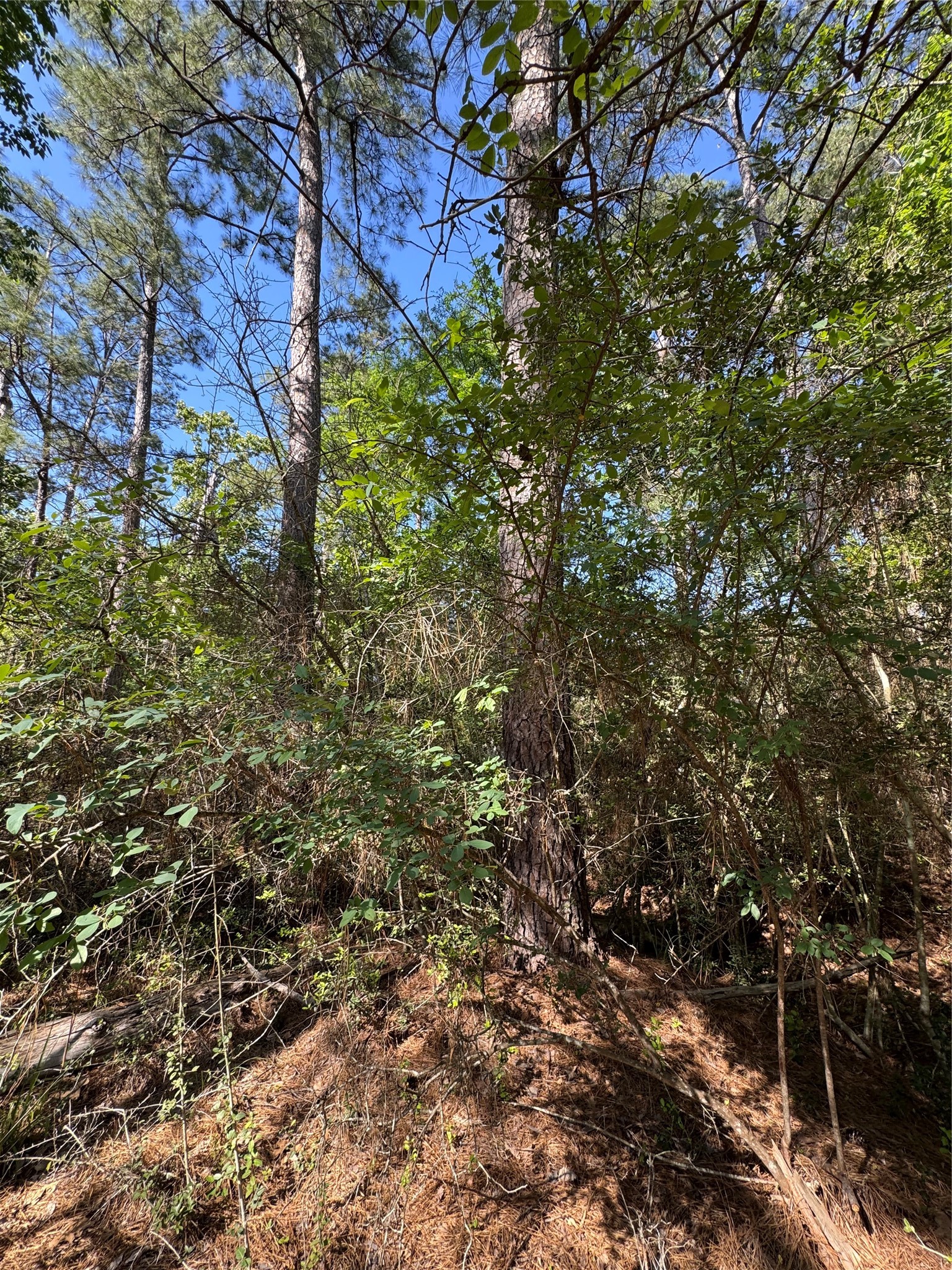 15 Wood Harbor Property Photo 8