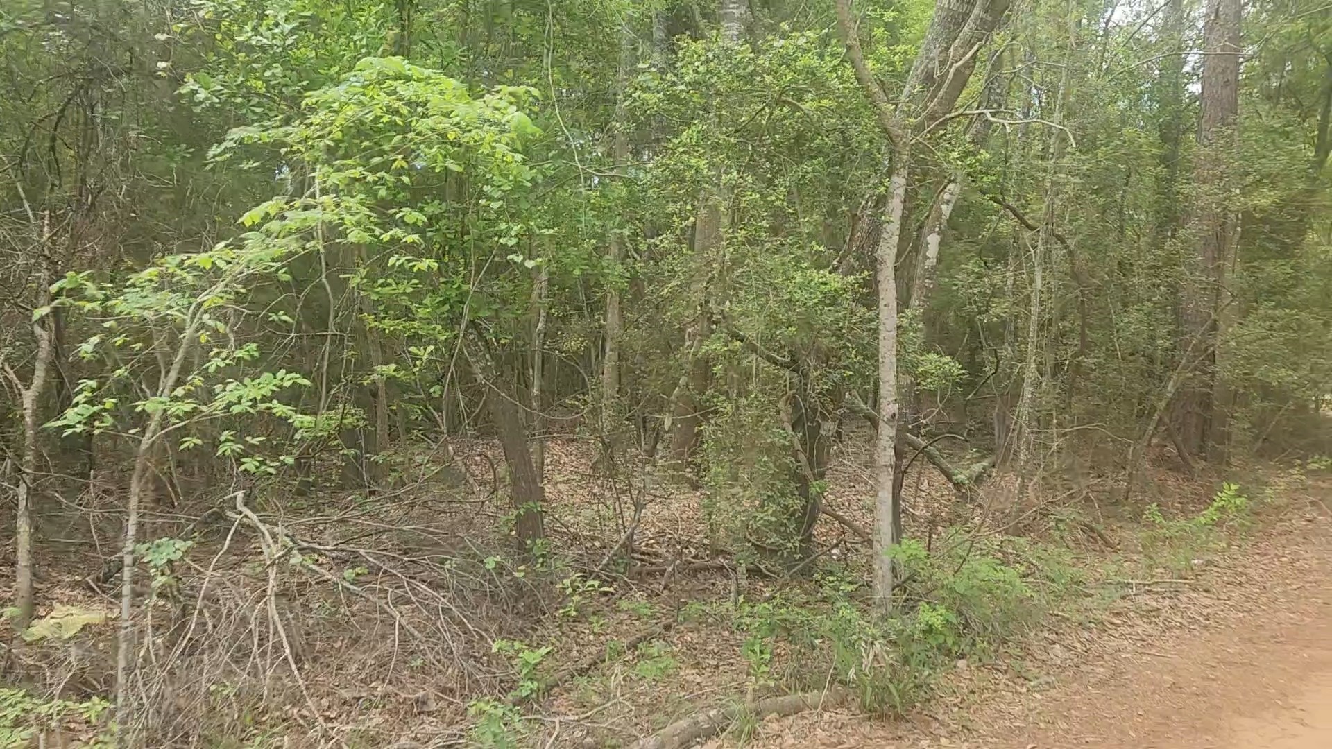 Lot 1 Thornwood Drive Property Photo 3