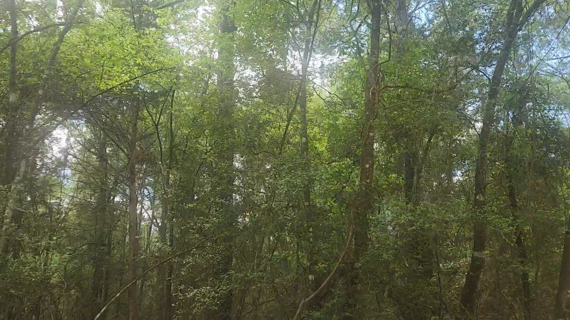 Lot 1 Thornwood Drive Property Photo 7