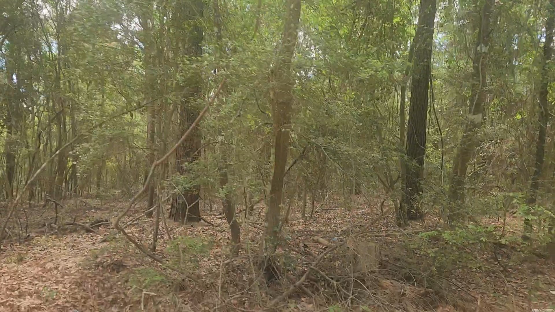 Lot 1 Thornwood Drive Property Photo 8
