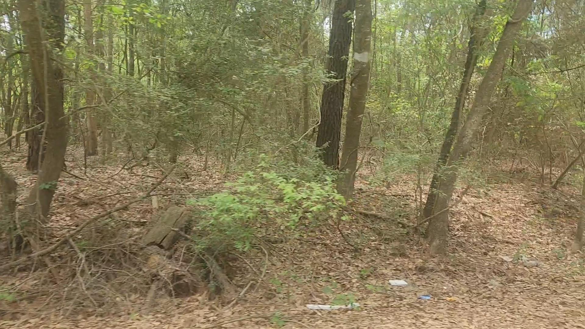 Lot 1 Thornwood Drive Property Photo 9