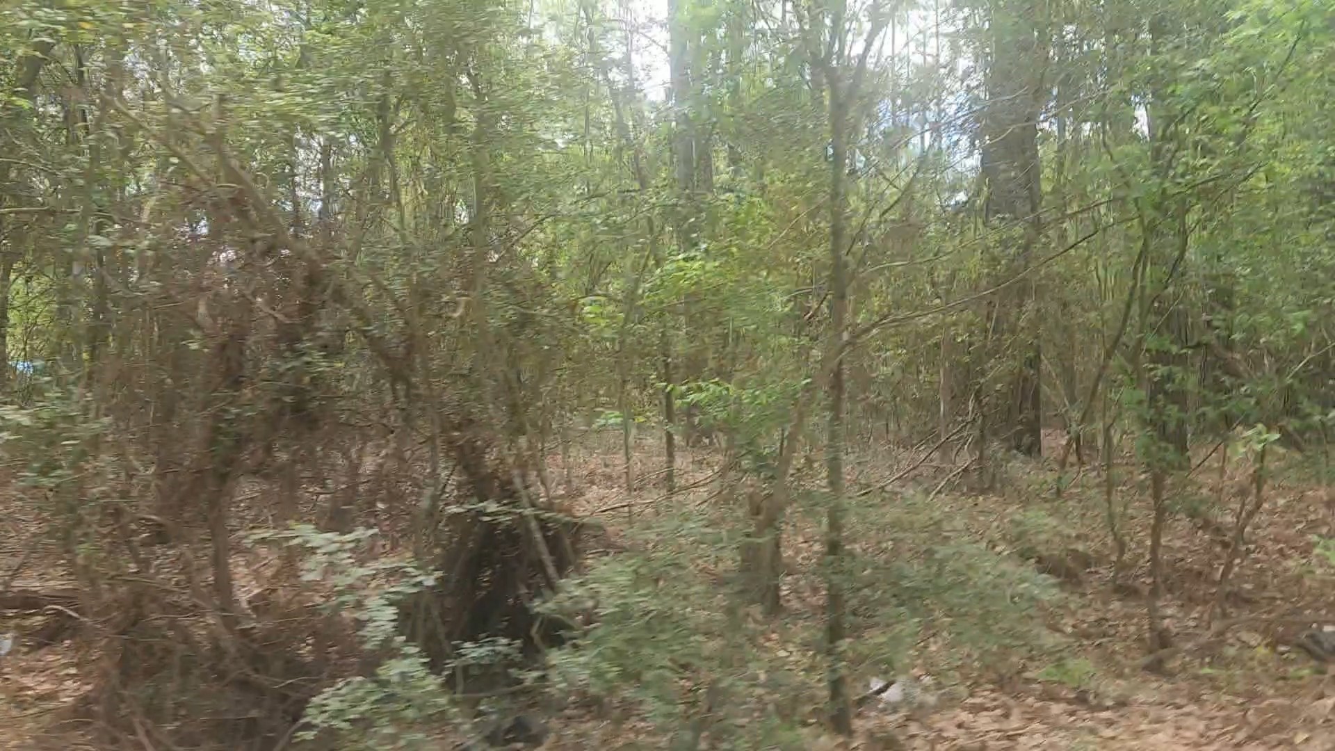 Lot 1 Thornwood Drive Property Photo 14