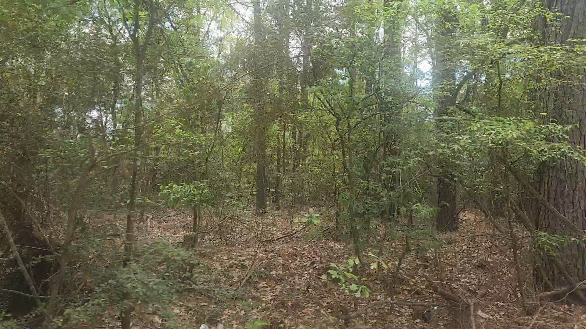 Lot 1 Thornwood Drive Property Photo 15