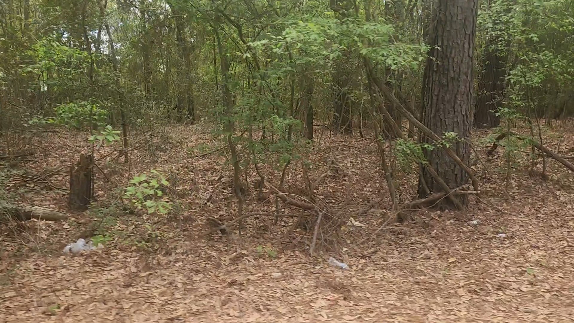 Lot 1 Thornwood Drive Property Photo 16