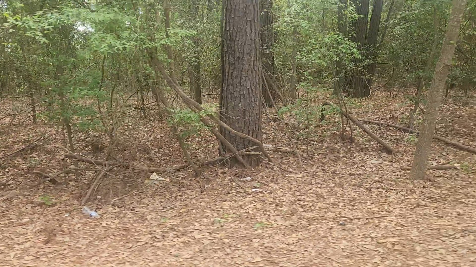 Lot 1 Thornwood Drive Property Photo 17