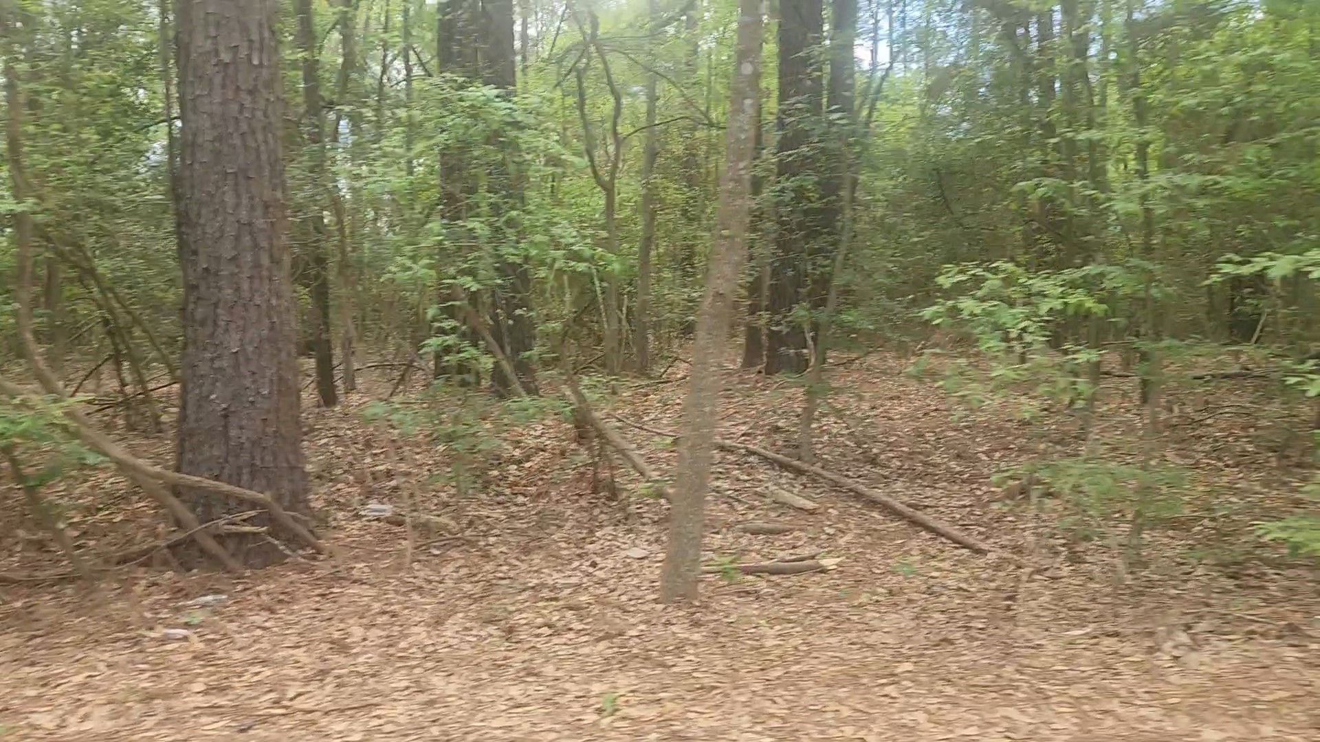 Lot 1 Thornwood Drive Property Photo 18