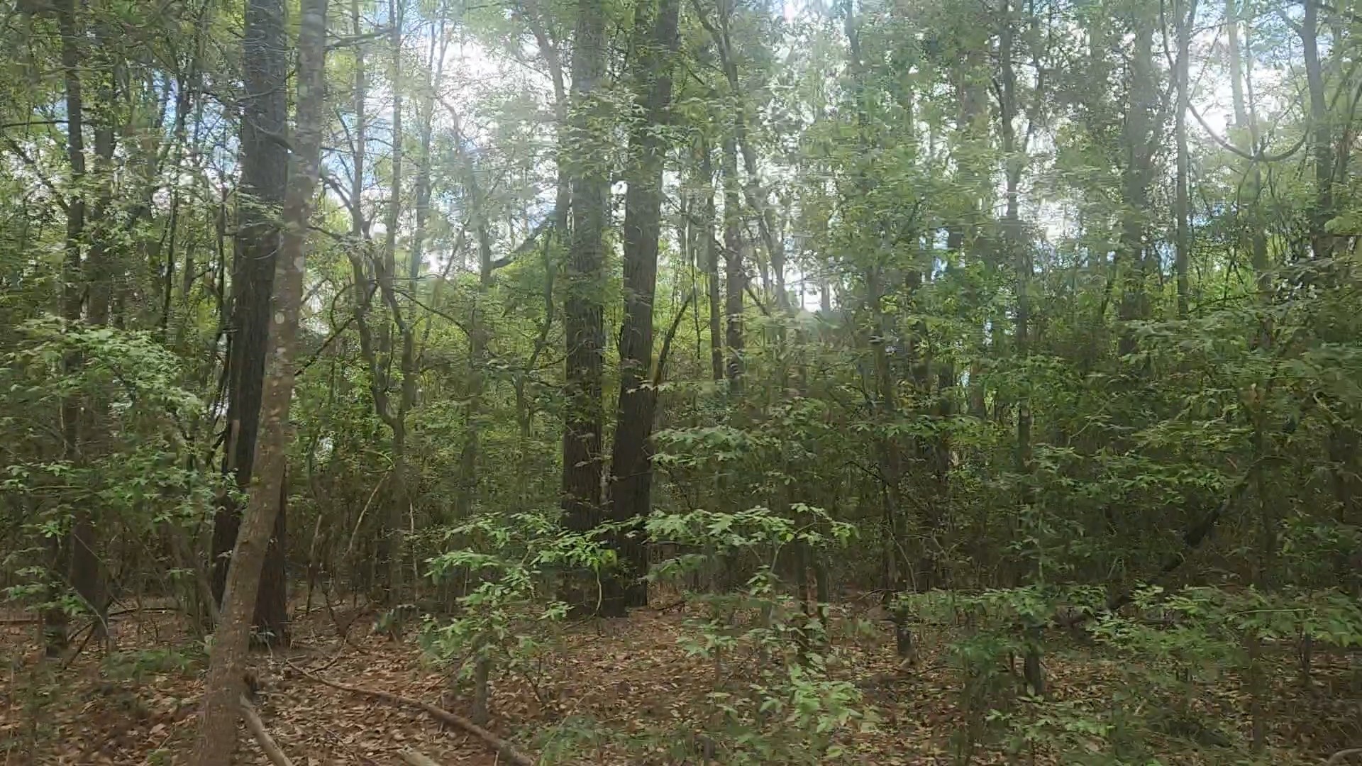 Lot 1 Thornwood Drive Property Photo 19
