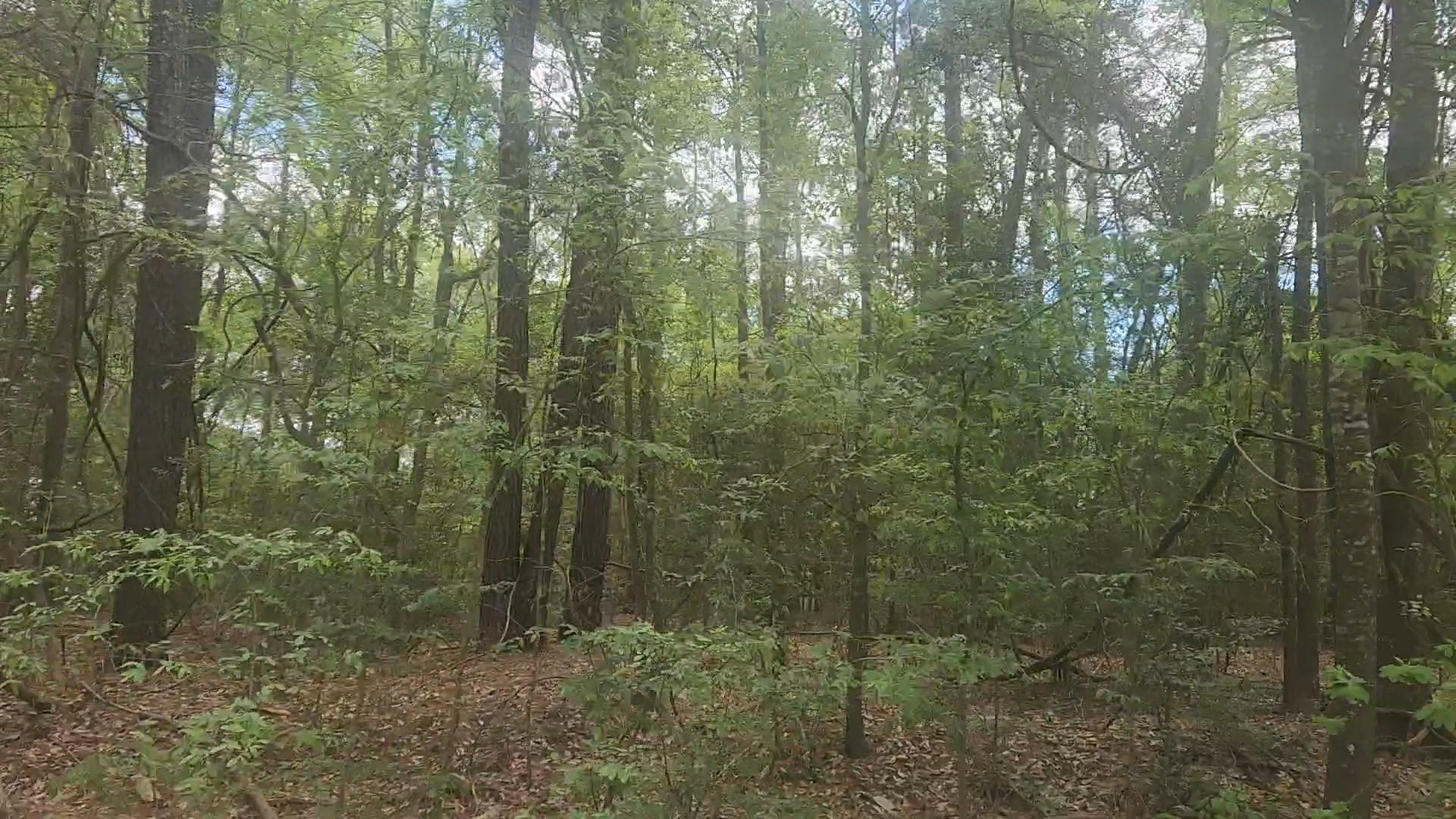 Lot 1 Thornwood Drive Property Photo 20