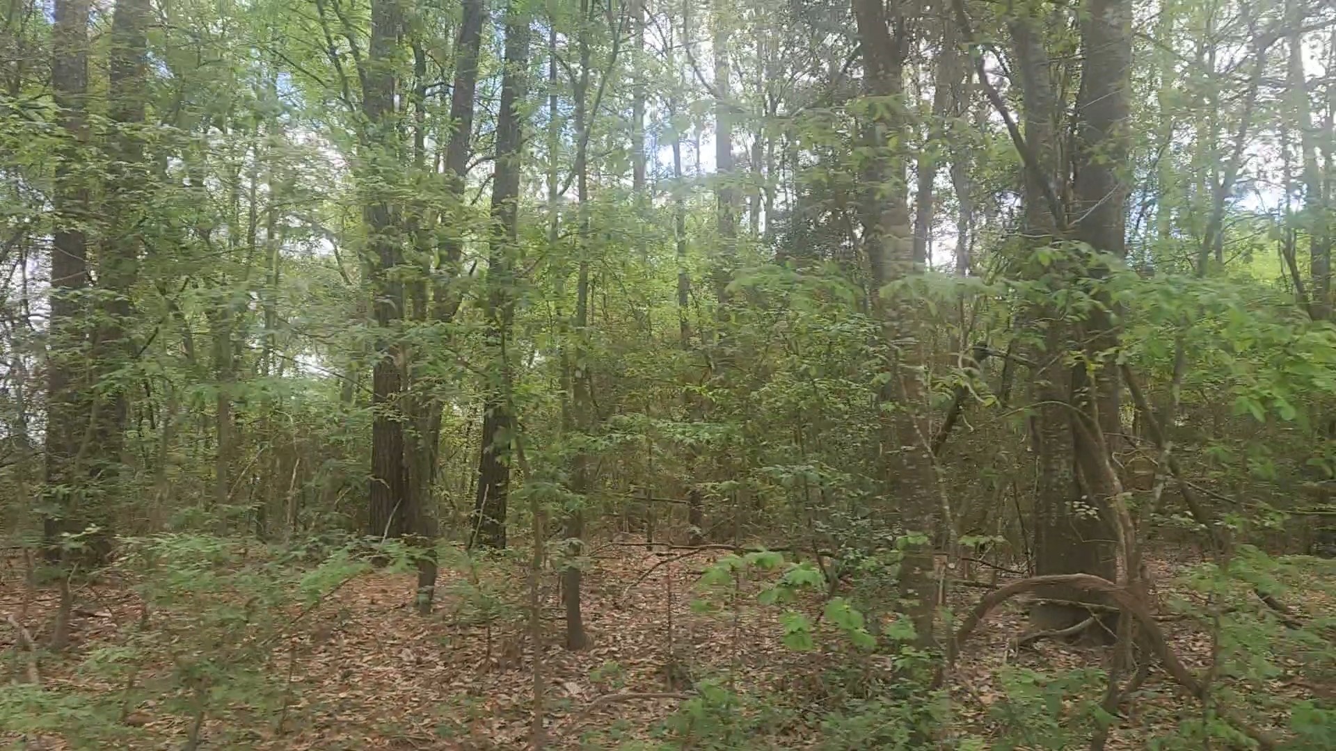 Lot 1 Thornwood Drive Property Photo 21
