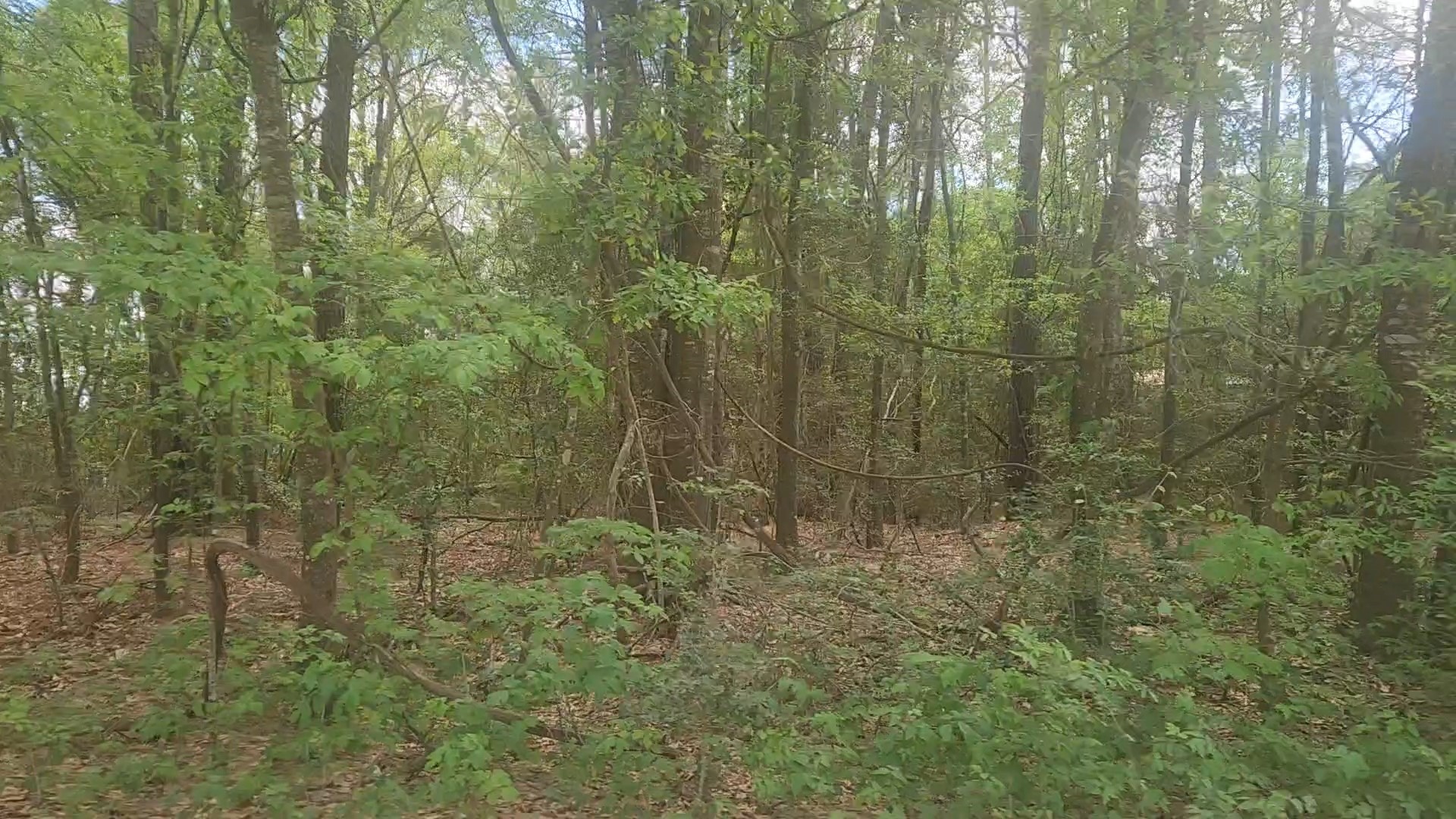 Lot 1 Thornwood Drive Property Photo 23