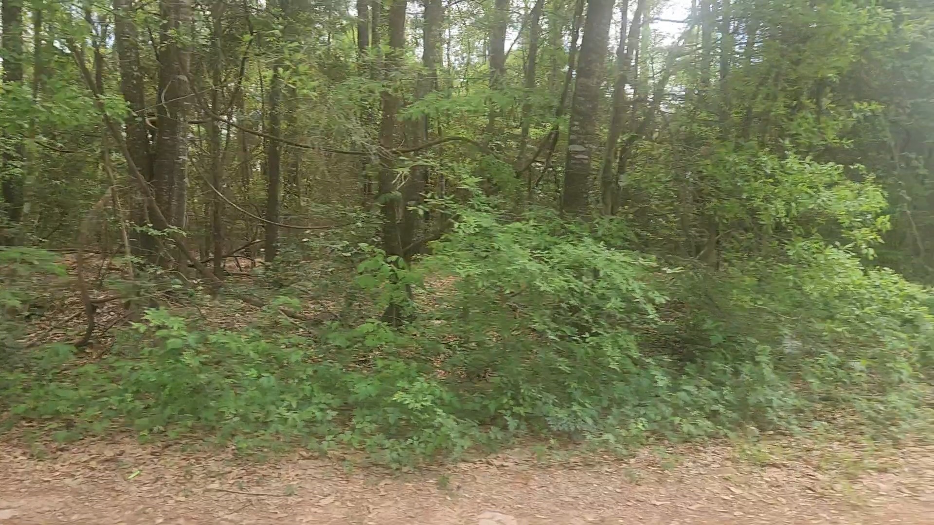 Lot 1 Thornwood Drive Property Photo 24