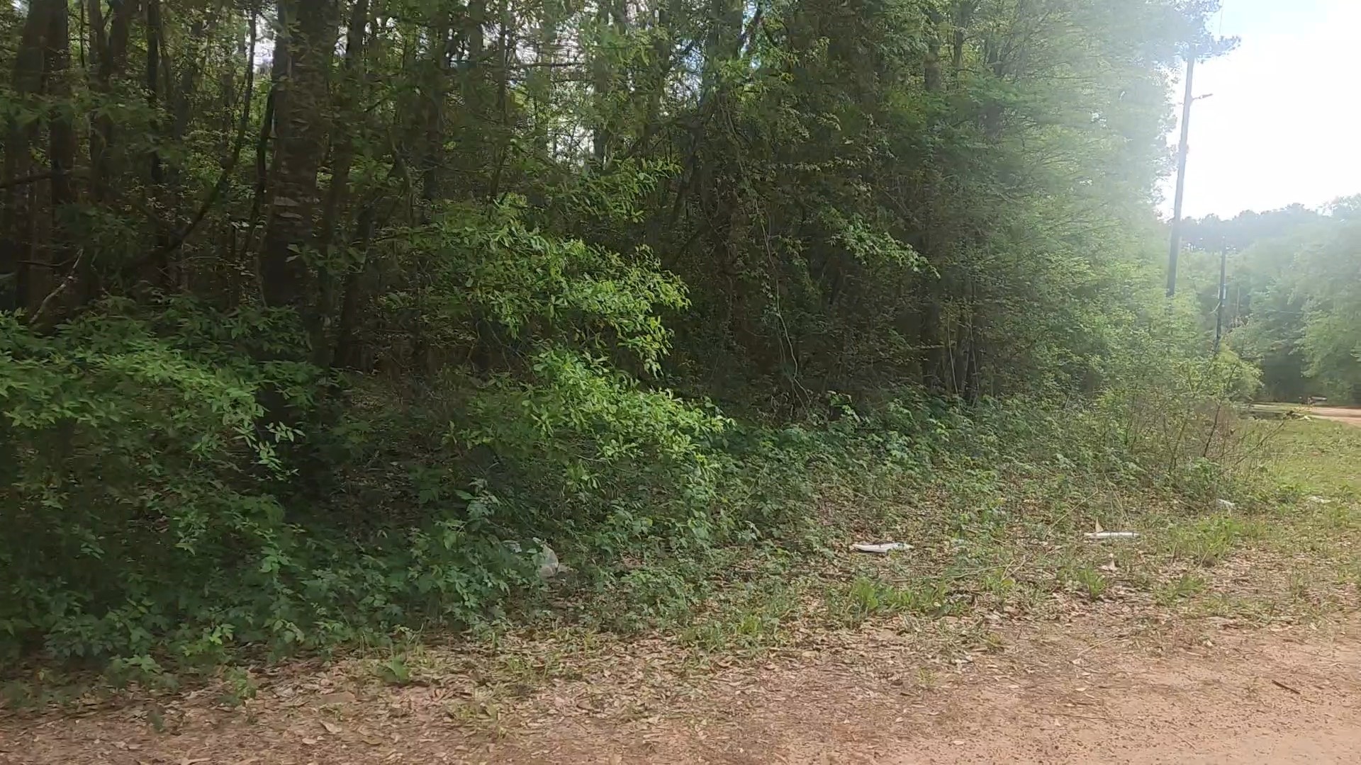 Lot 1 Thornwood Drive Property Photo 25