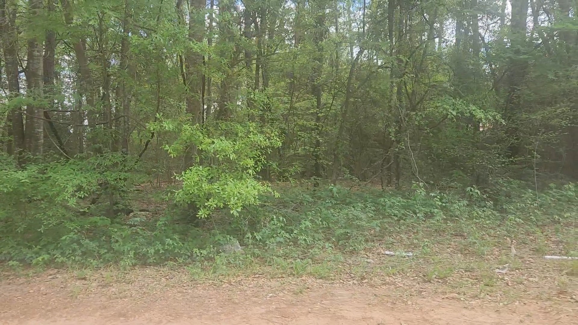 Lot 1 Thornwood Drive Property Photo 27