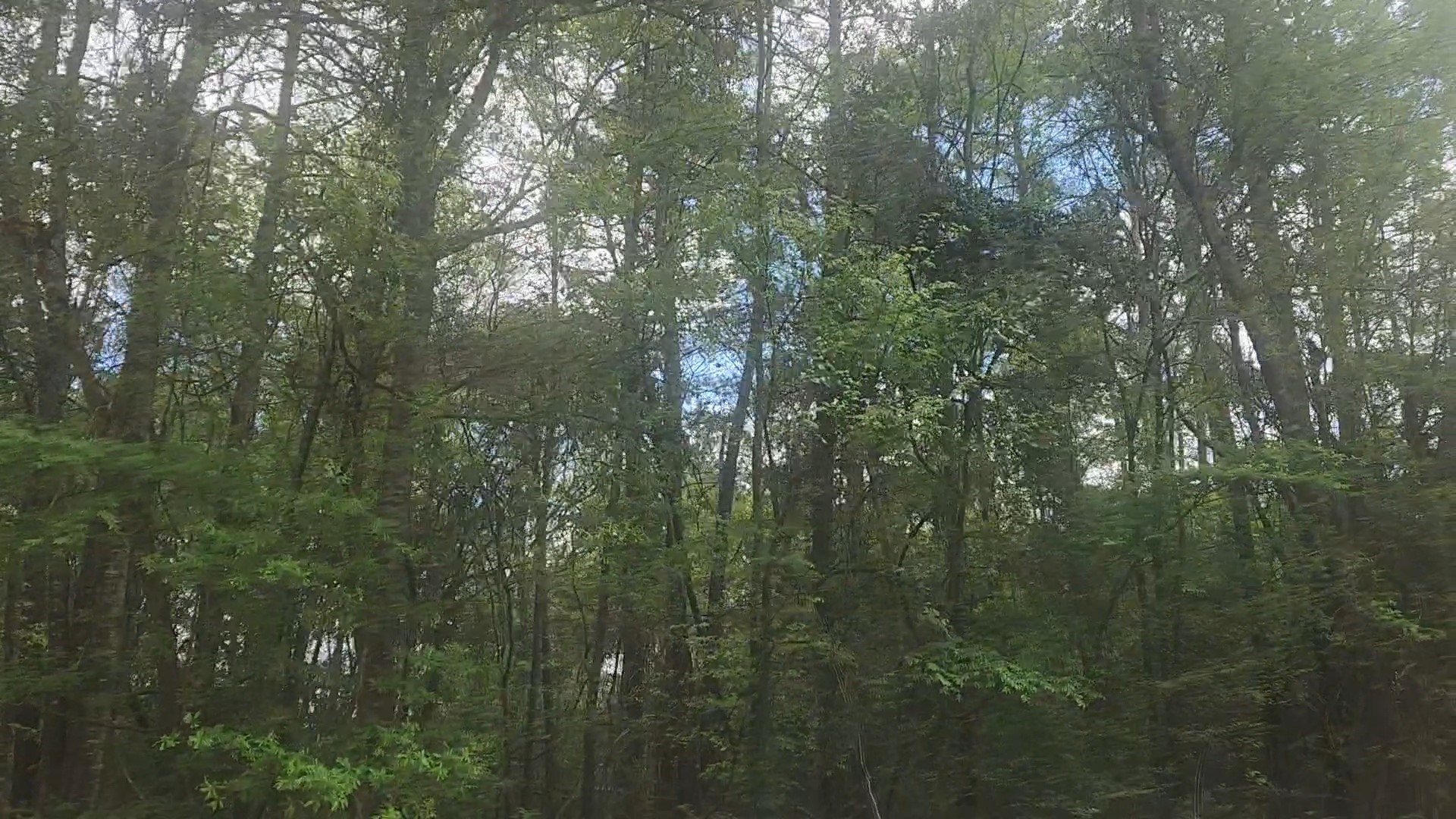 Lot 1 Thornwood Drive Property Photo 28