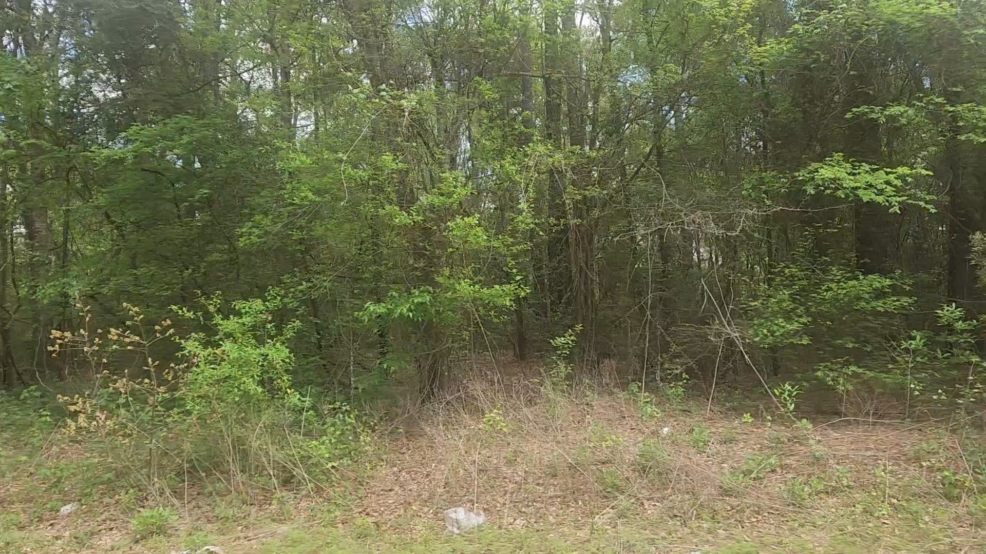 Lot 1 Thornwood Drive Property Photo 31
