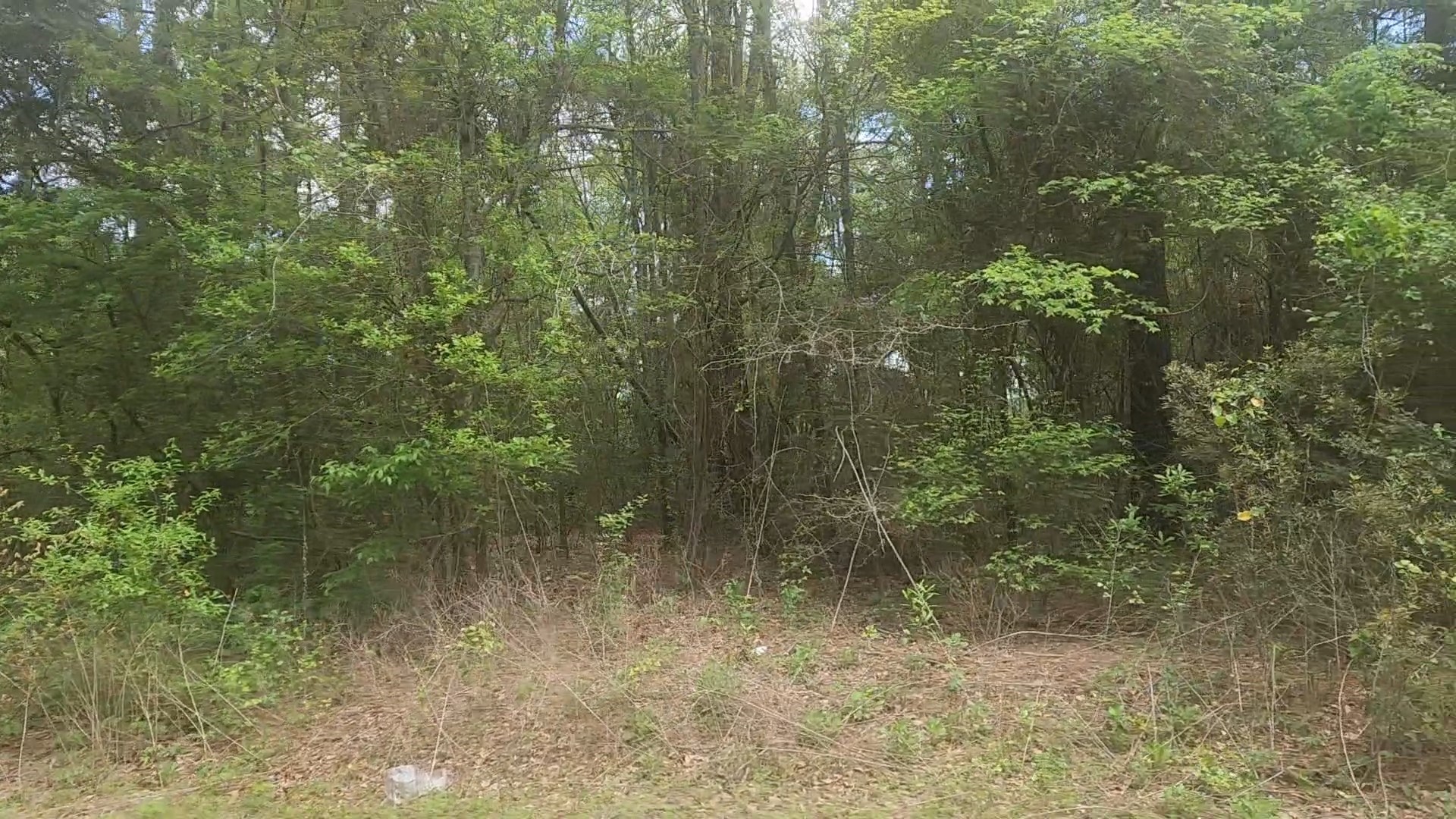 Lot 1 Thornwood Drive Property Photo 32