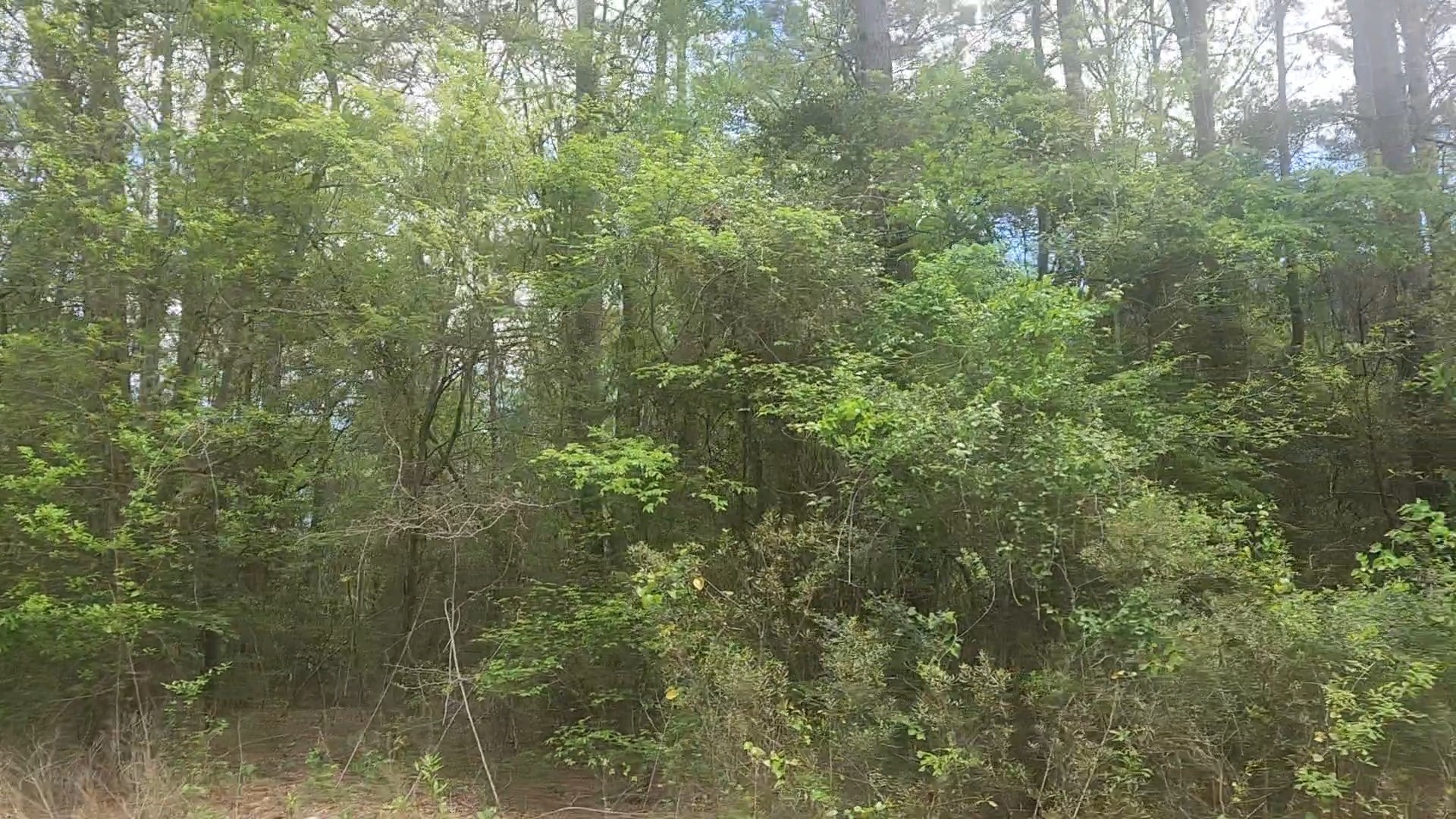 Lot 1 Thornwood Drive Property Photo 33