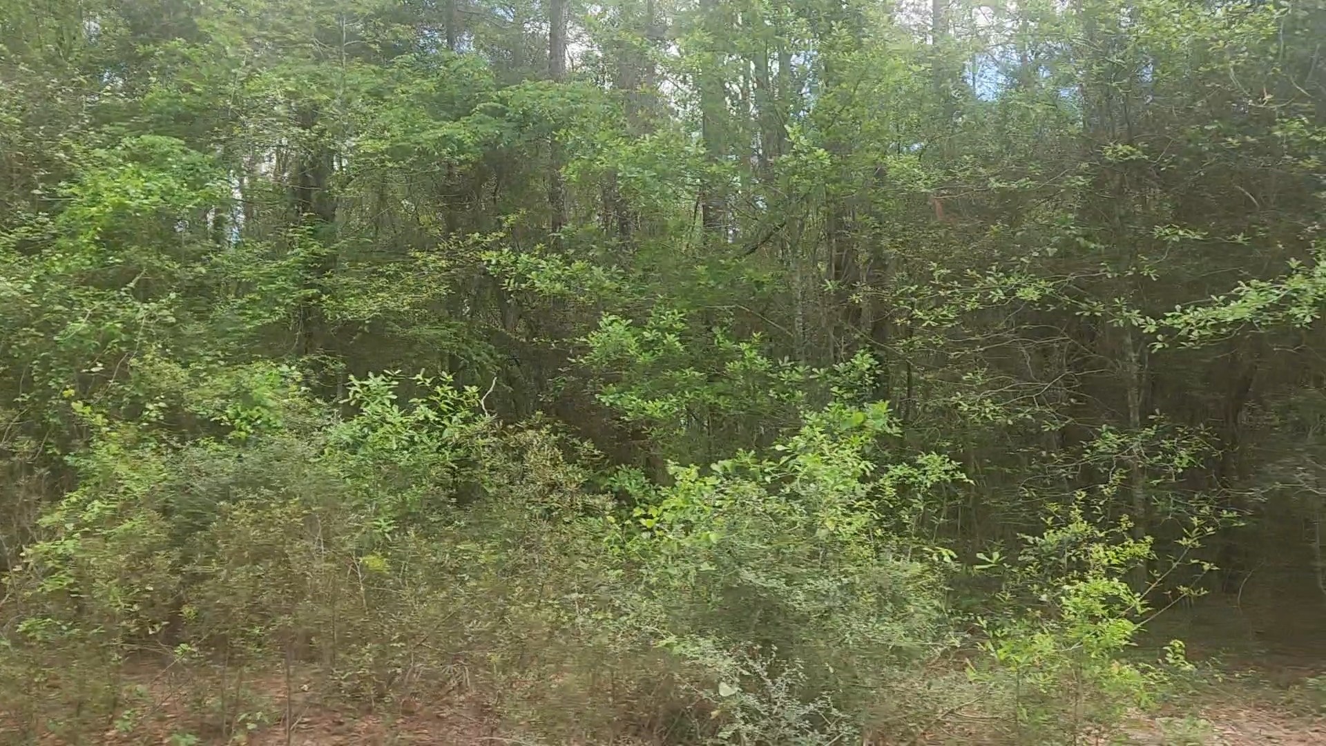 Lot 1 Thornwood Drive Property Photo 34