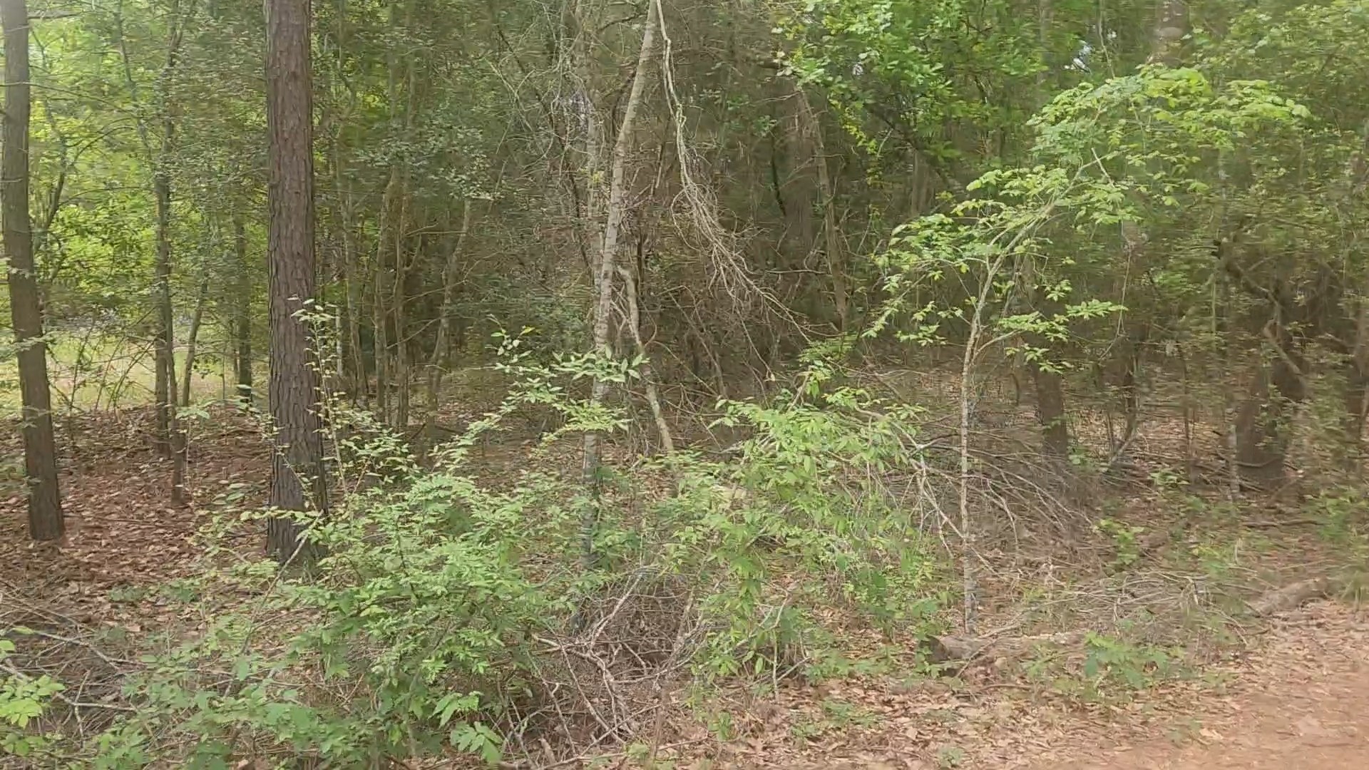 Lot 1 Thornwood Drive Property Photo 38