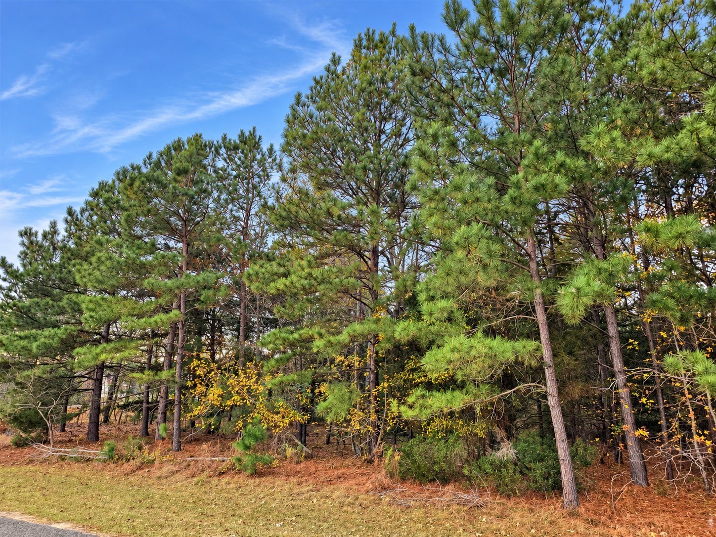 0 Mallard Way Property Photo 1