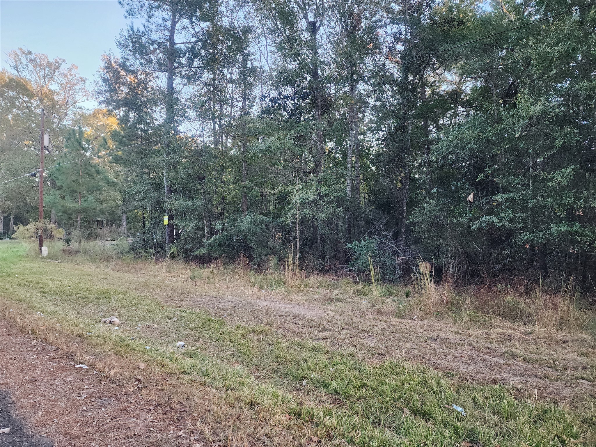 0 Dottie Ln Lane Property Photo 6