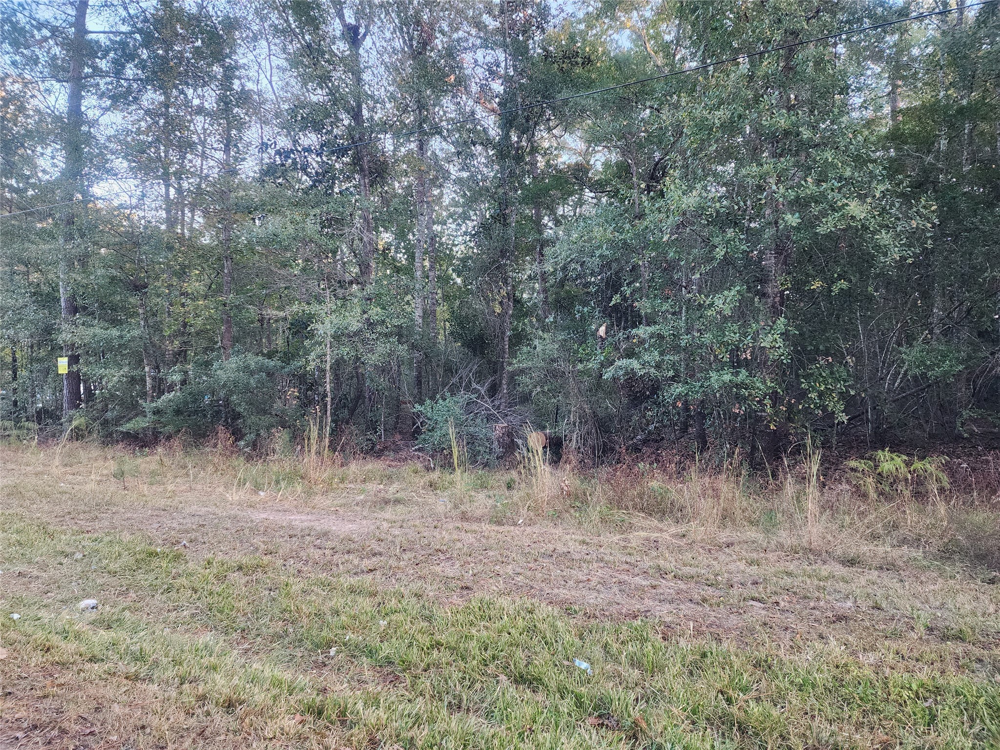 0 Dottie Ln Lane Property Photo 7