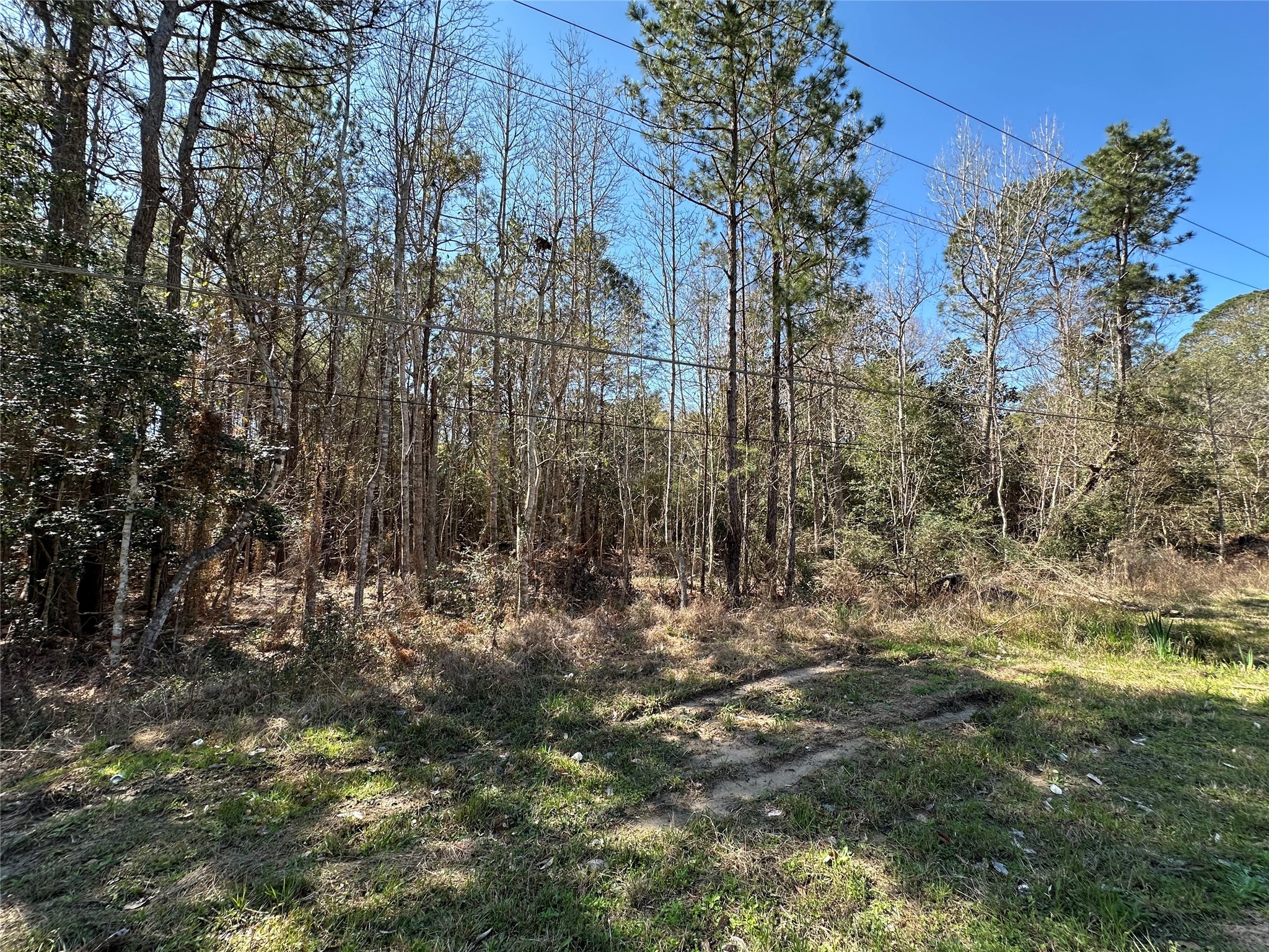 Tbd Road 2727 Property Photo 3