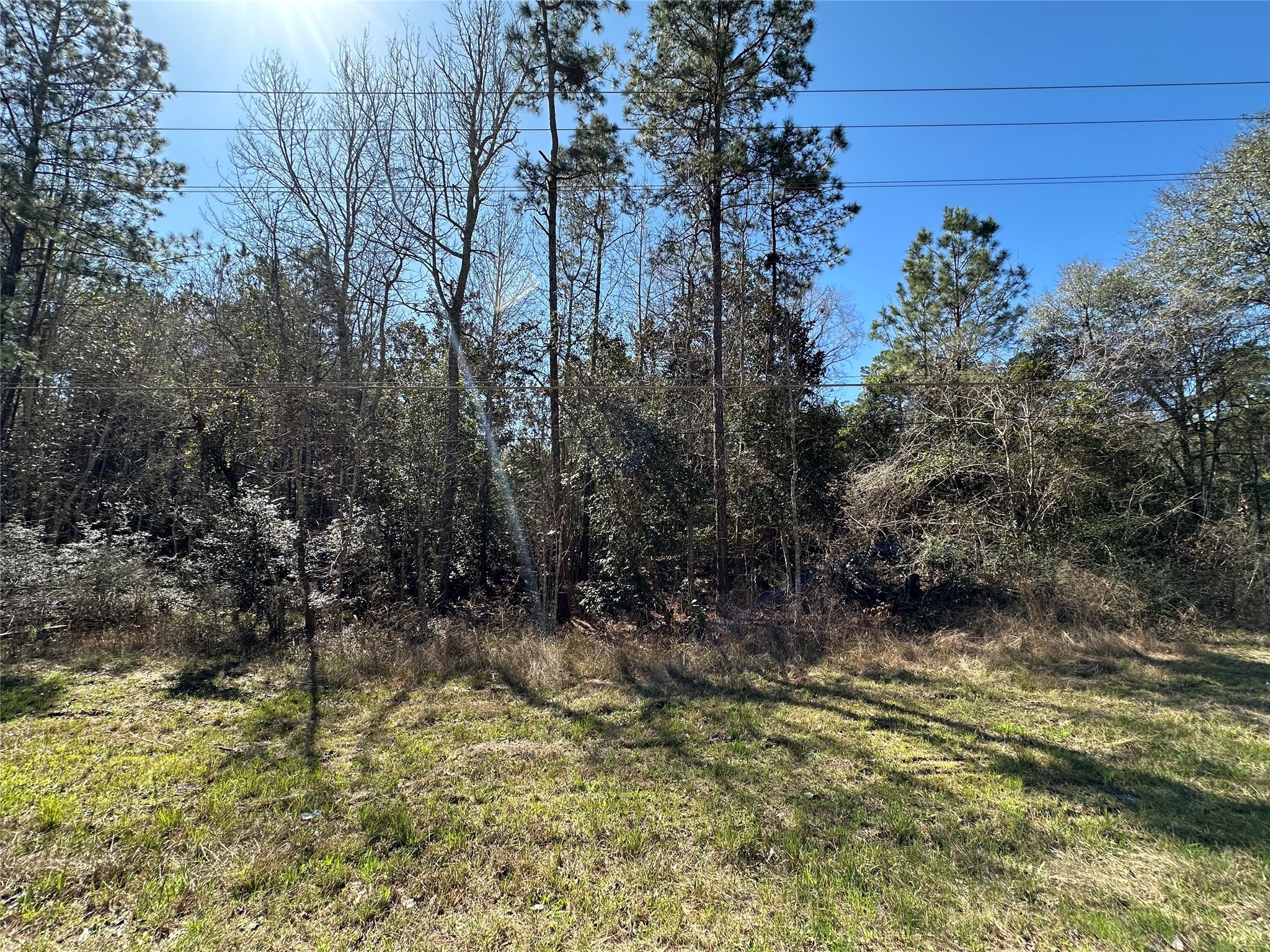 Tbd Road 2727 Property Photo 4