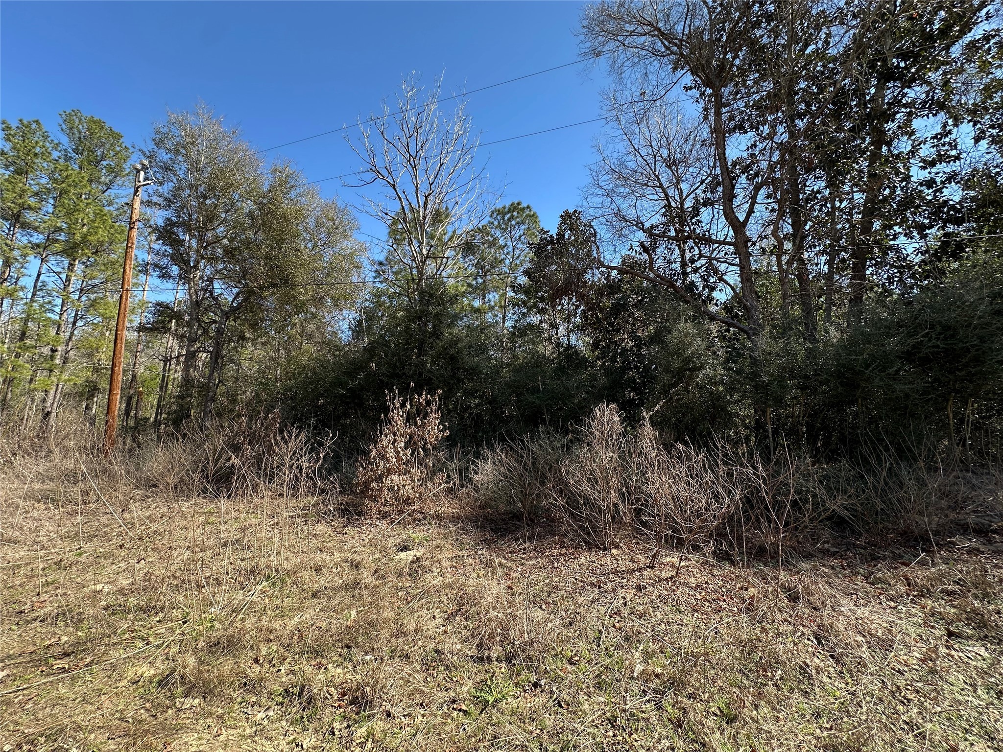 Tbd Road 2727 Property Photo 7