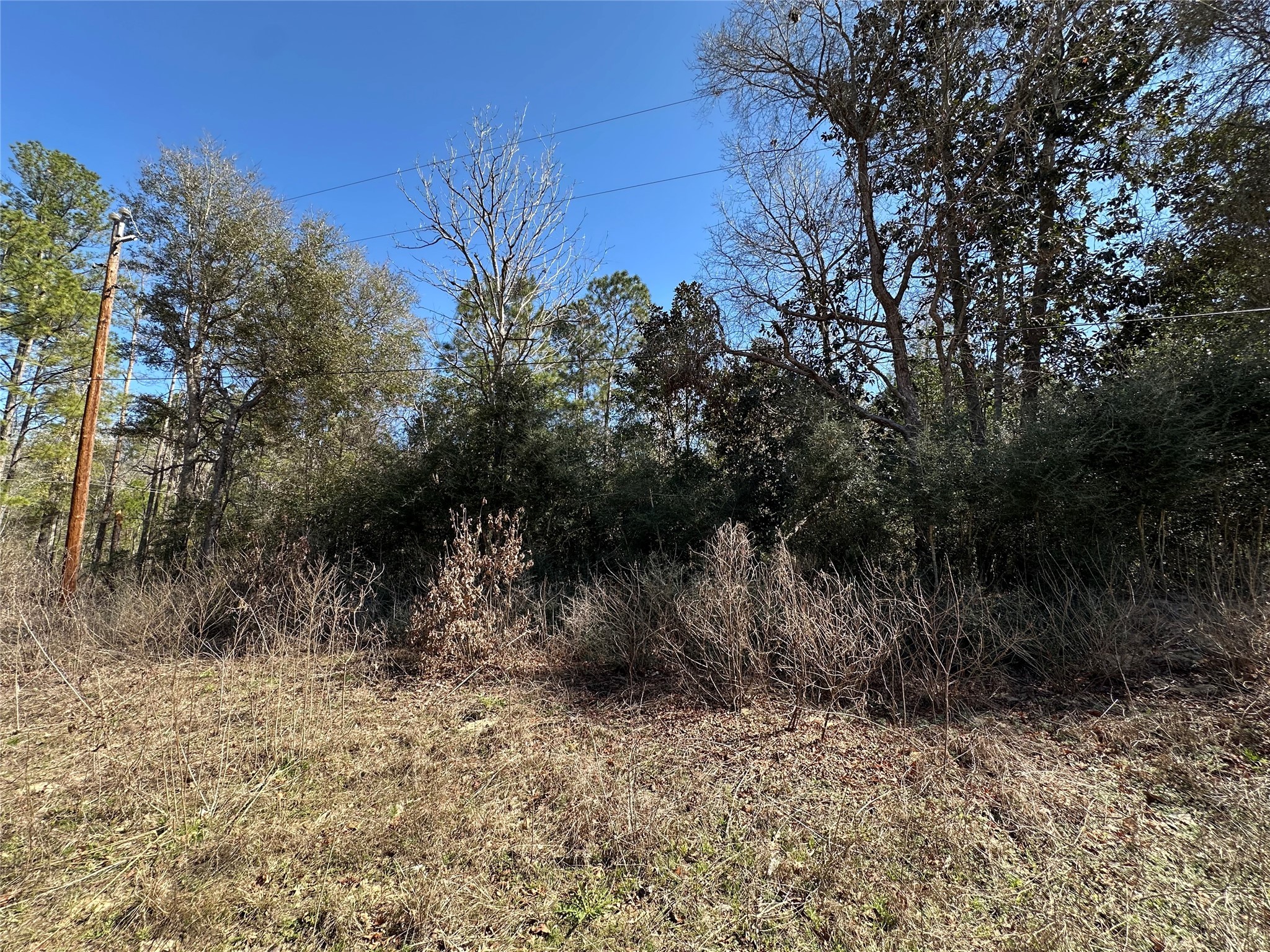 Tbd Road 2727 Property Photo 8