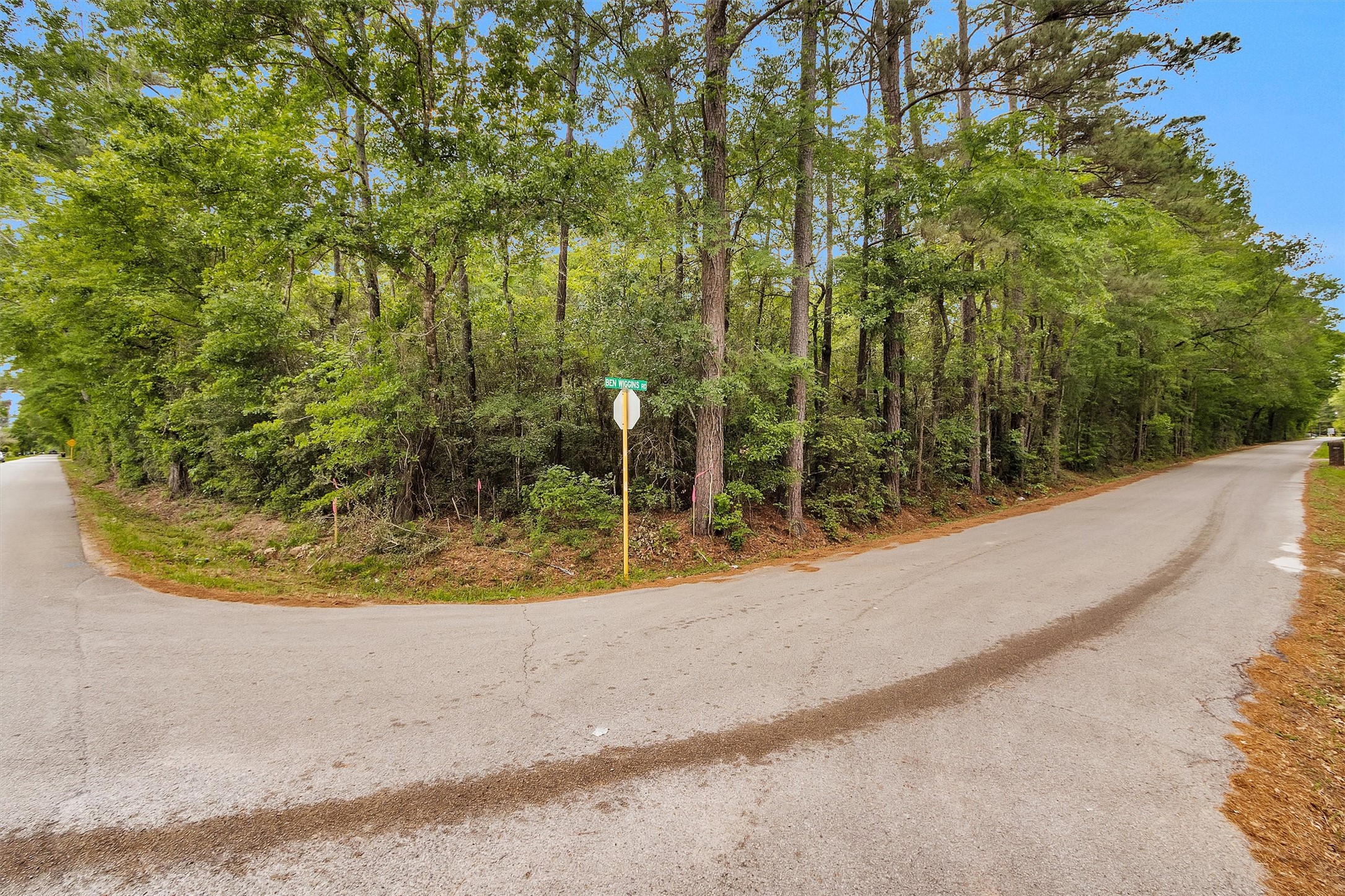 15711 Tree Monkey Rd Property Photo 3