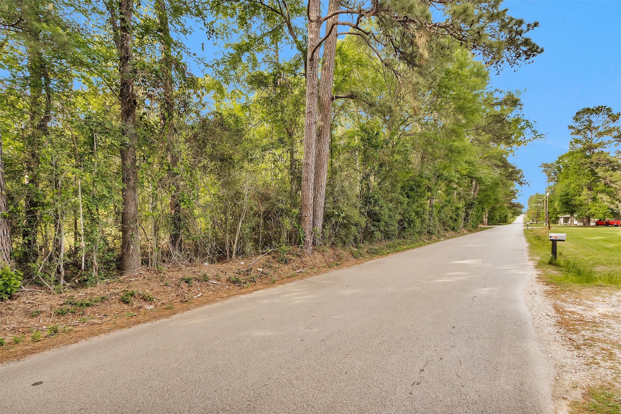 15711 Tree Monkey Rd Property Photo 4