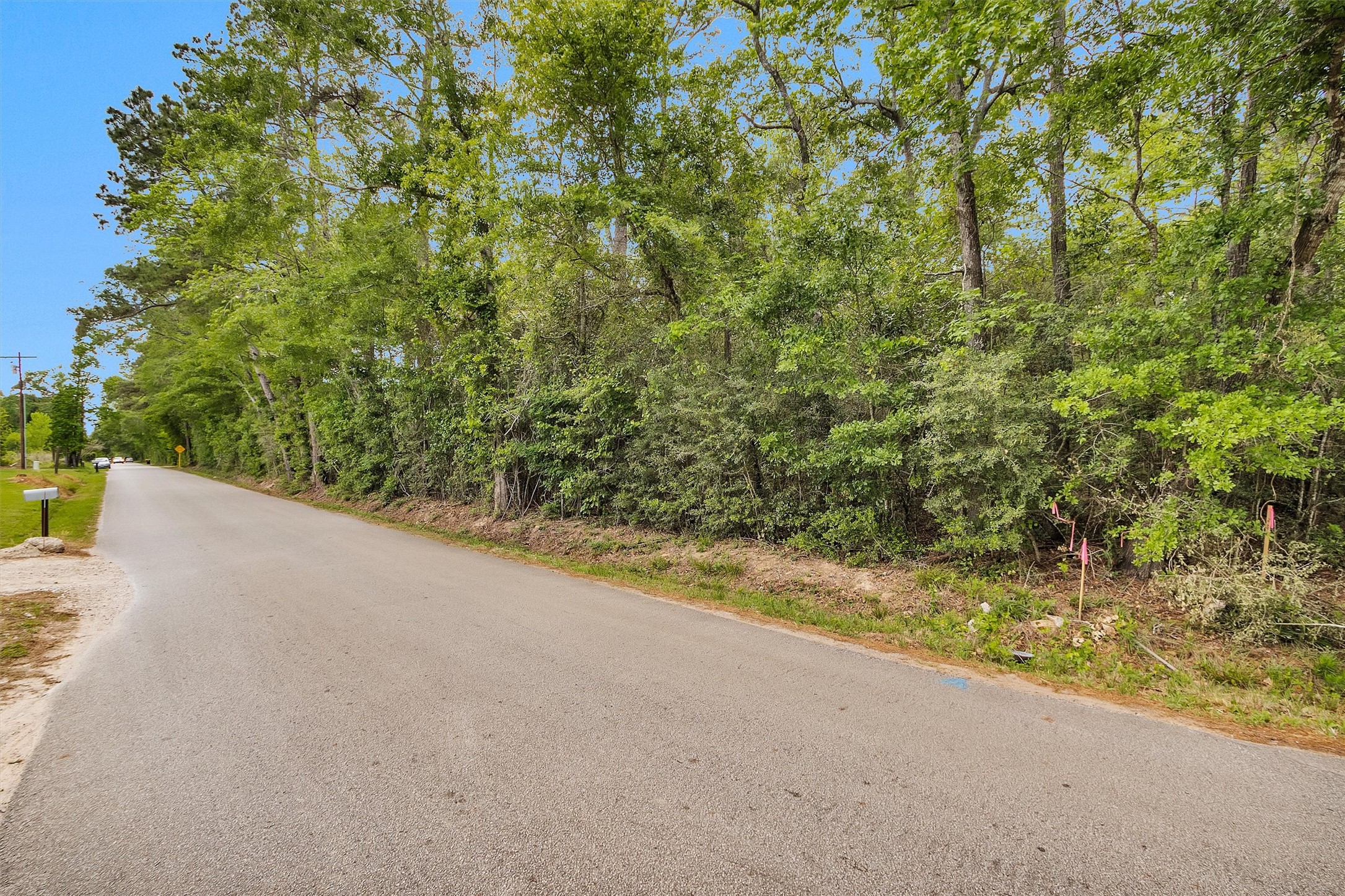 15711 Tree Monkey Rd Property Photo 5