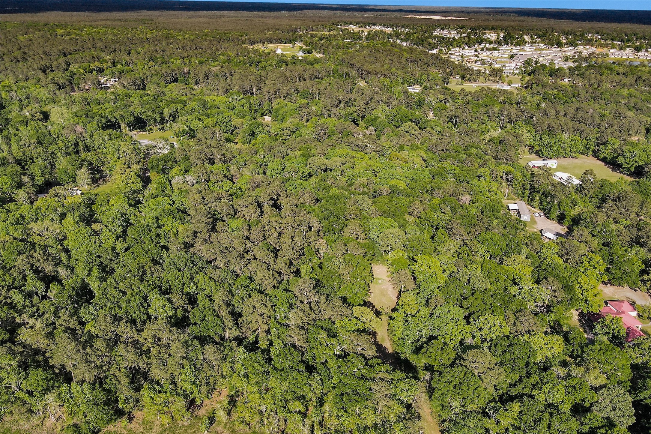 15711 Tree Monkey Rd Property Photo 6