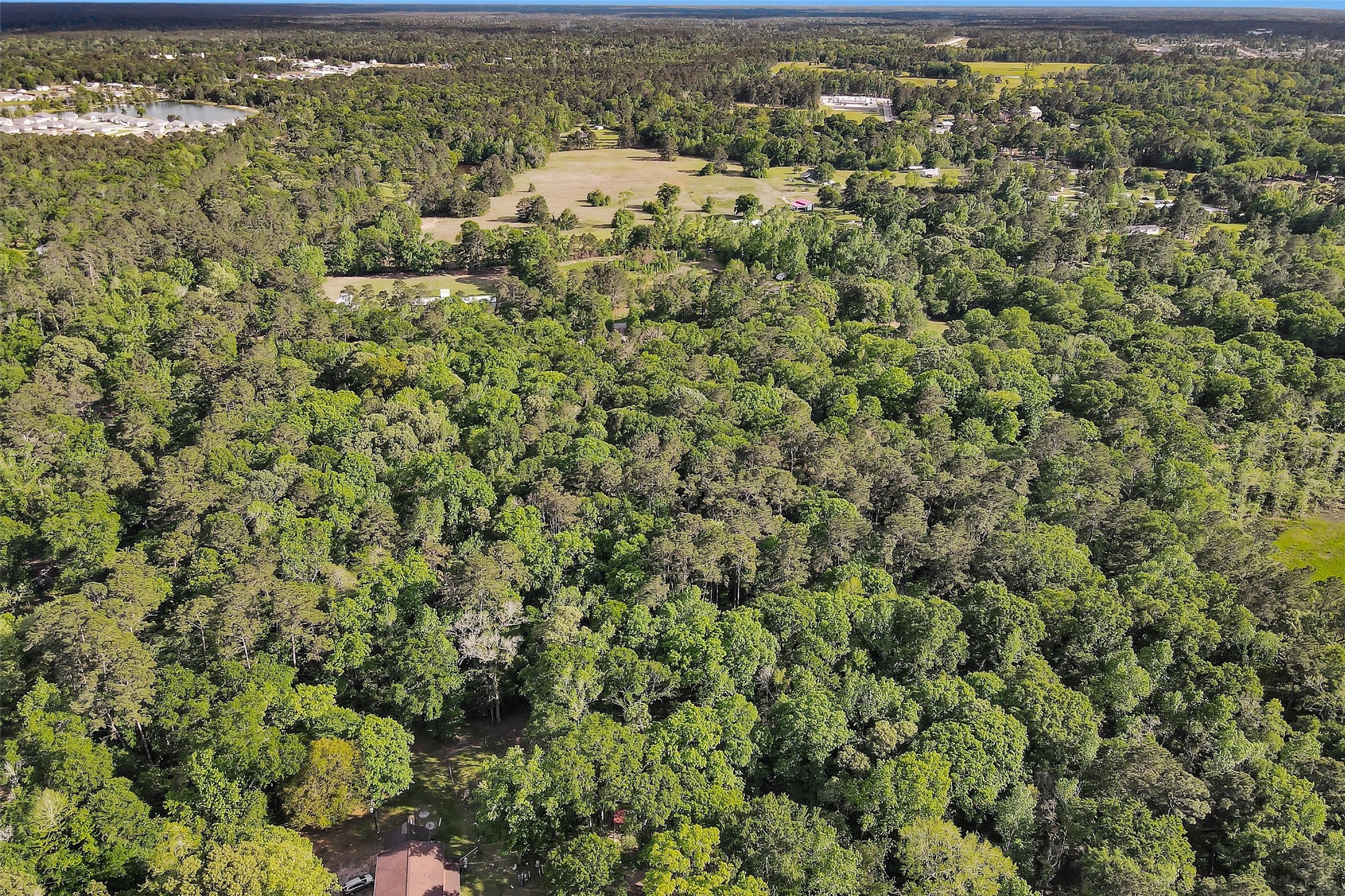 15711 Tree Monkey Rd Property Photo 7