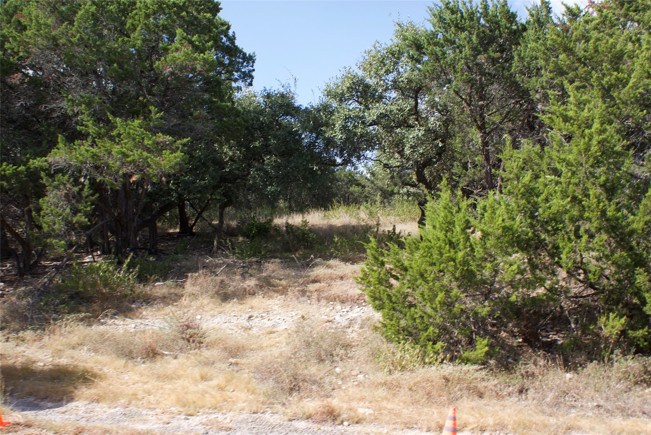 403 Deer Cross Ln Property Photo 15
