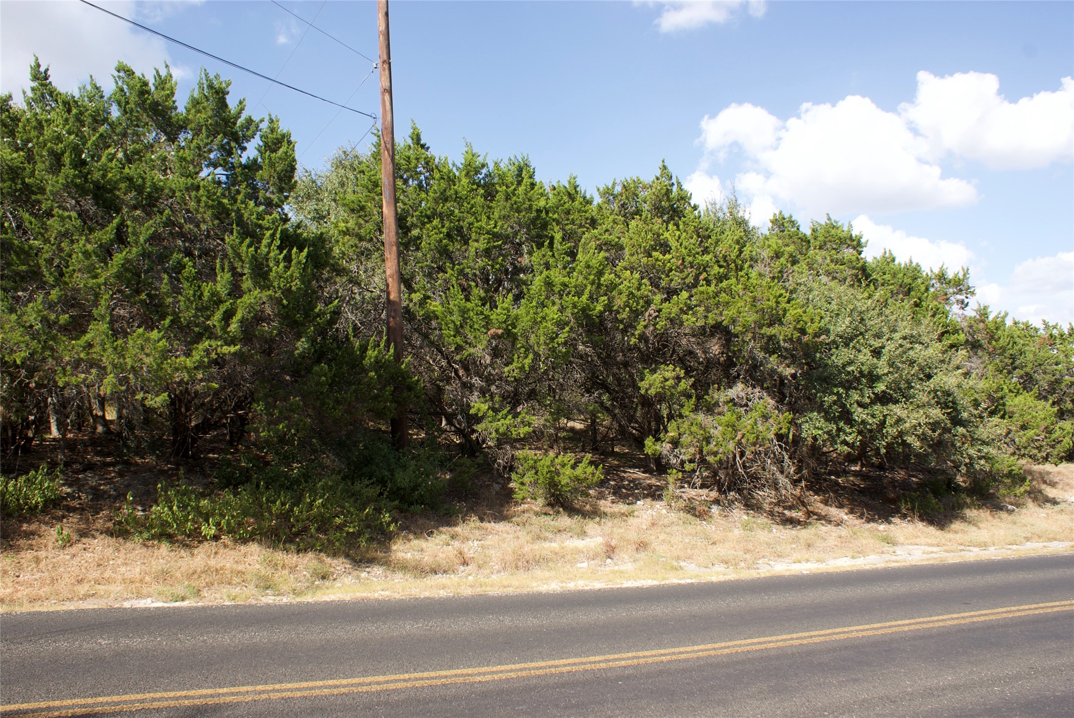 403 Deer Cross Ln Property Photo 17
