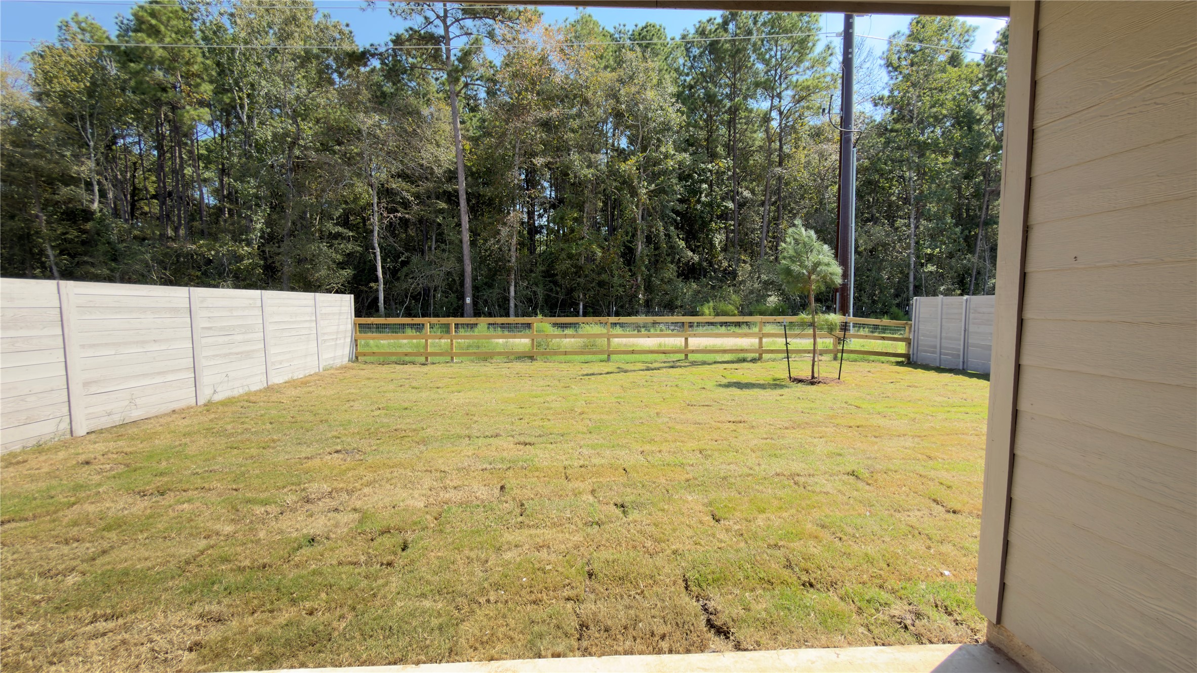 11535 Dosey Doe Drive Property Photo 17