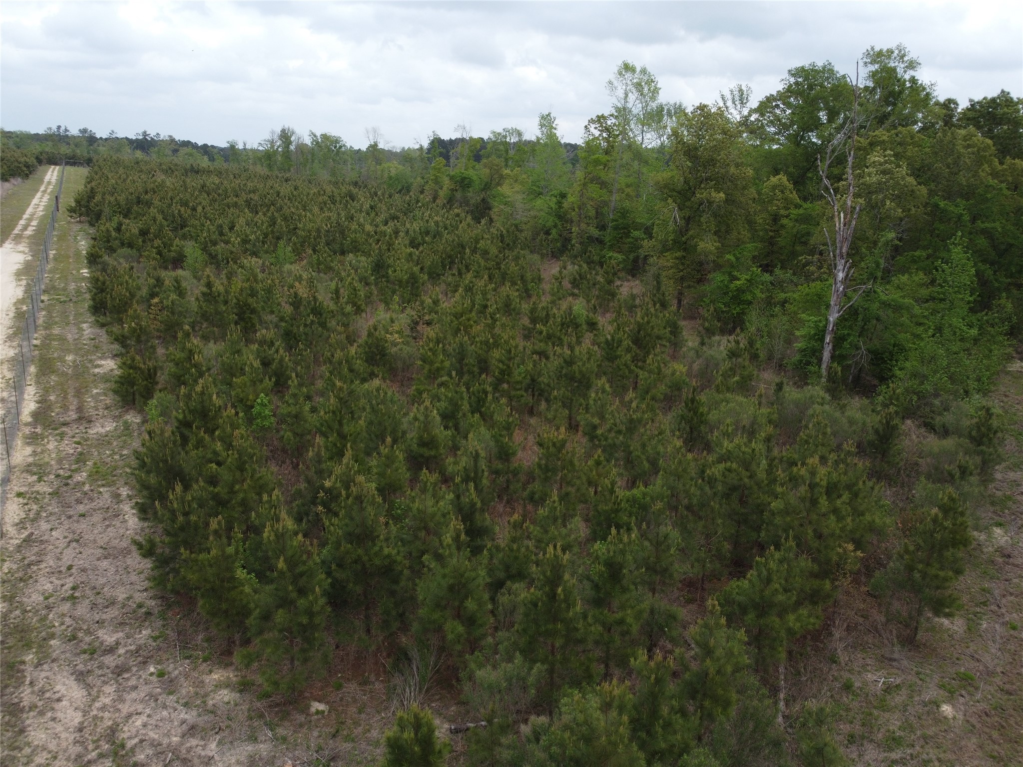Tbd Joy Wright Mount Rd Property Photo 5