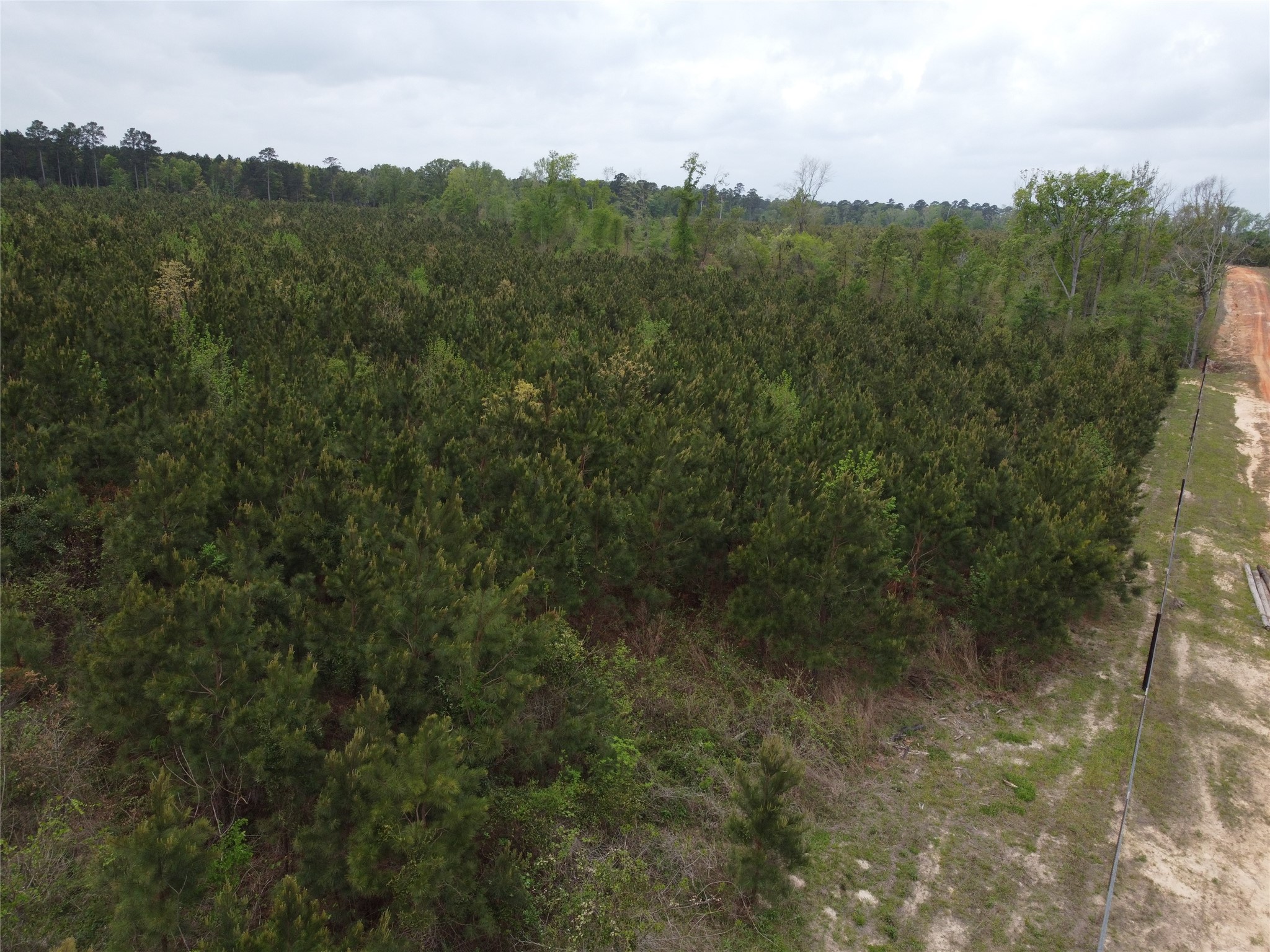 Tbd Joy Wright Mount Rd Property Photo 7